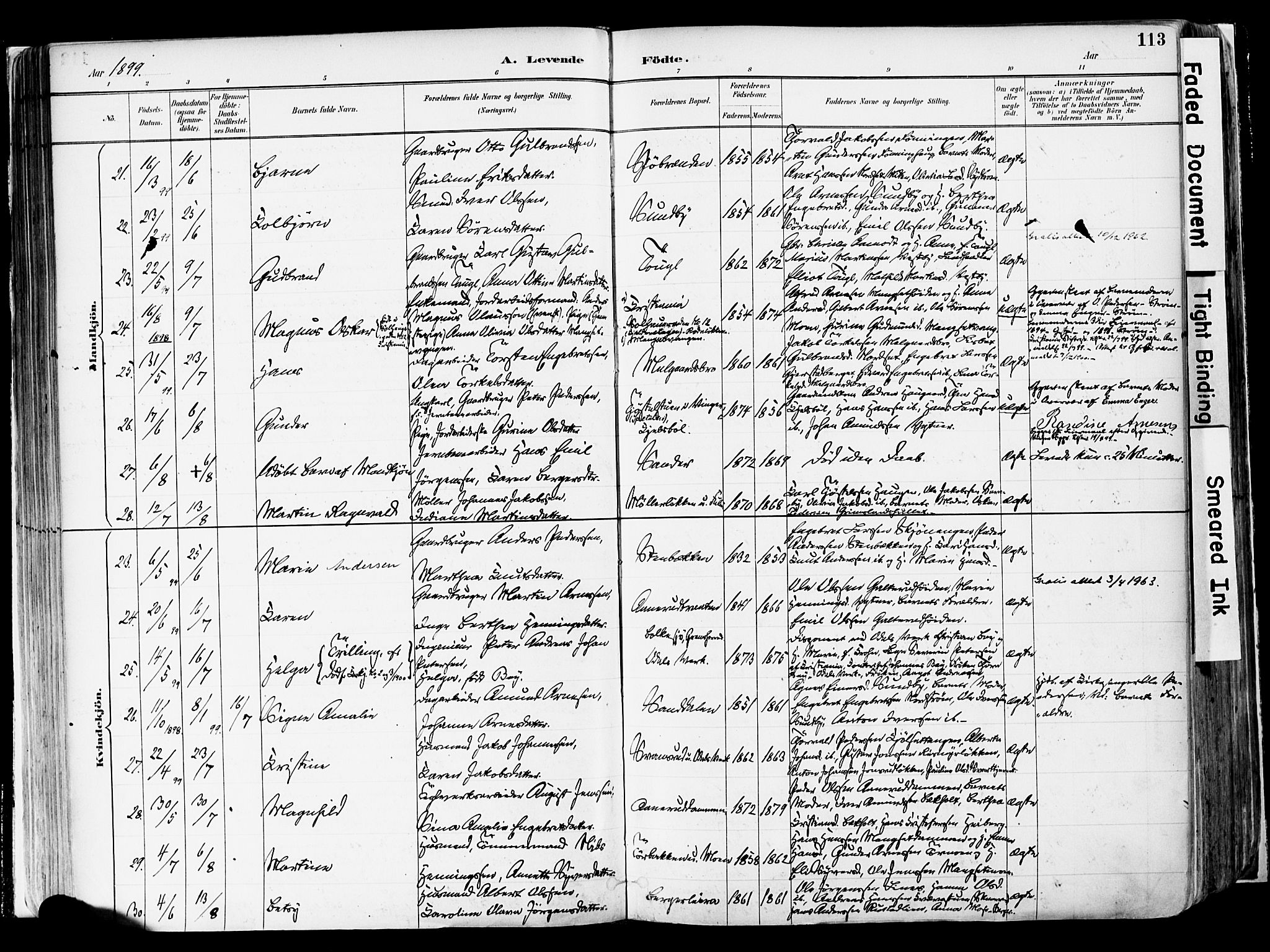 Sør-Odal prestekontor, SAH/PREST-030/H/Ha/Haa/L0006: Parish register (official) no. 6, 1886-1931, p. 113