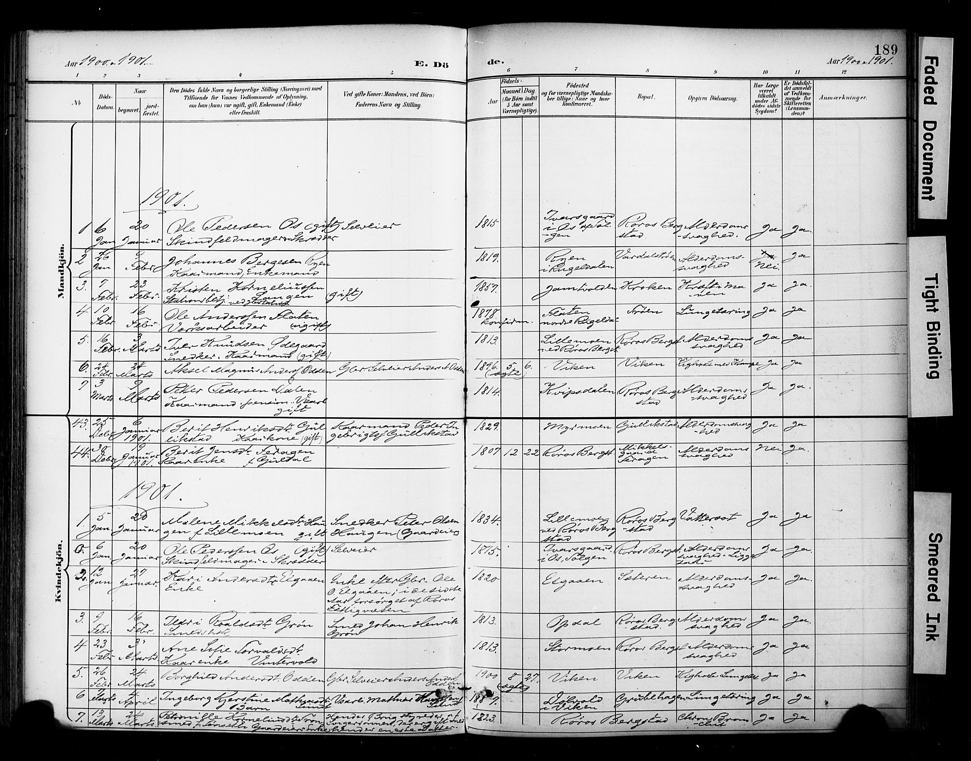 Ministerialprotokoller, klokkerbøker og fødselsregistre - Sør-Trøndelag, SAT/A-1456/681/L0936: Parish register (official) no. 681A14, 1899-1908, p. 189