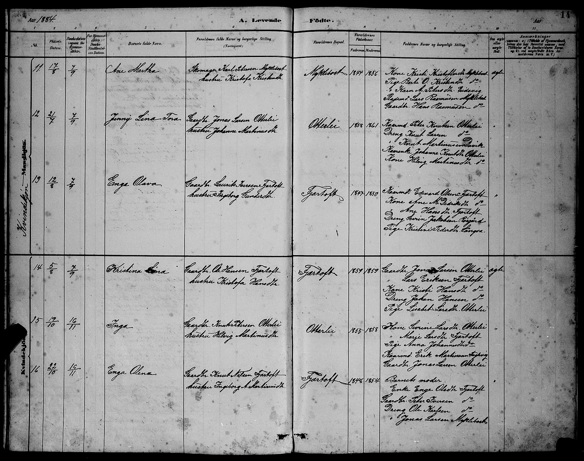 Ministerialprotokoller, klokkerbøker og fødselsregistre - Møre og Romsdal, AV/SAT-A-1454/538/L0523: Parish register (copy) no. 538C01, 1881-1900, p. 14