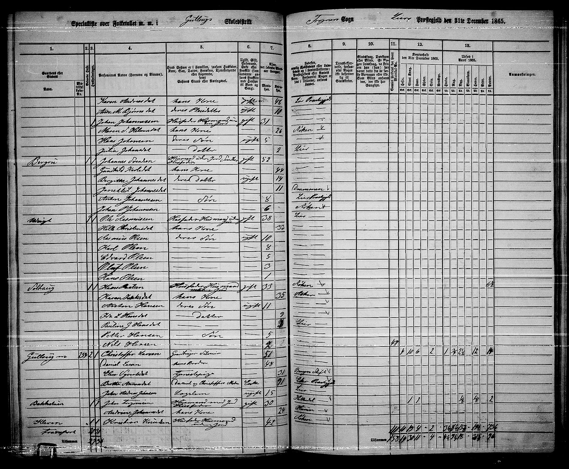 RA, 1865 census for Lier, 1865, p. 151