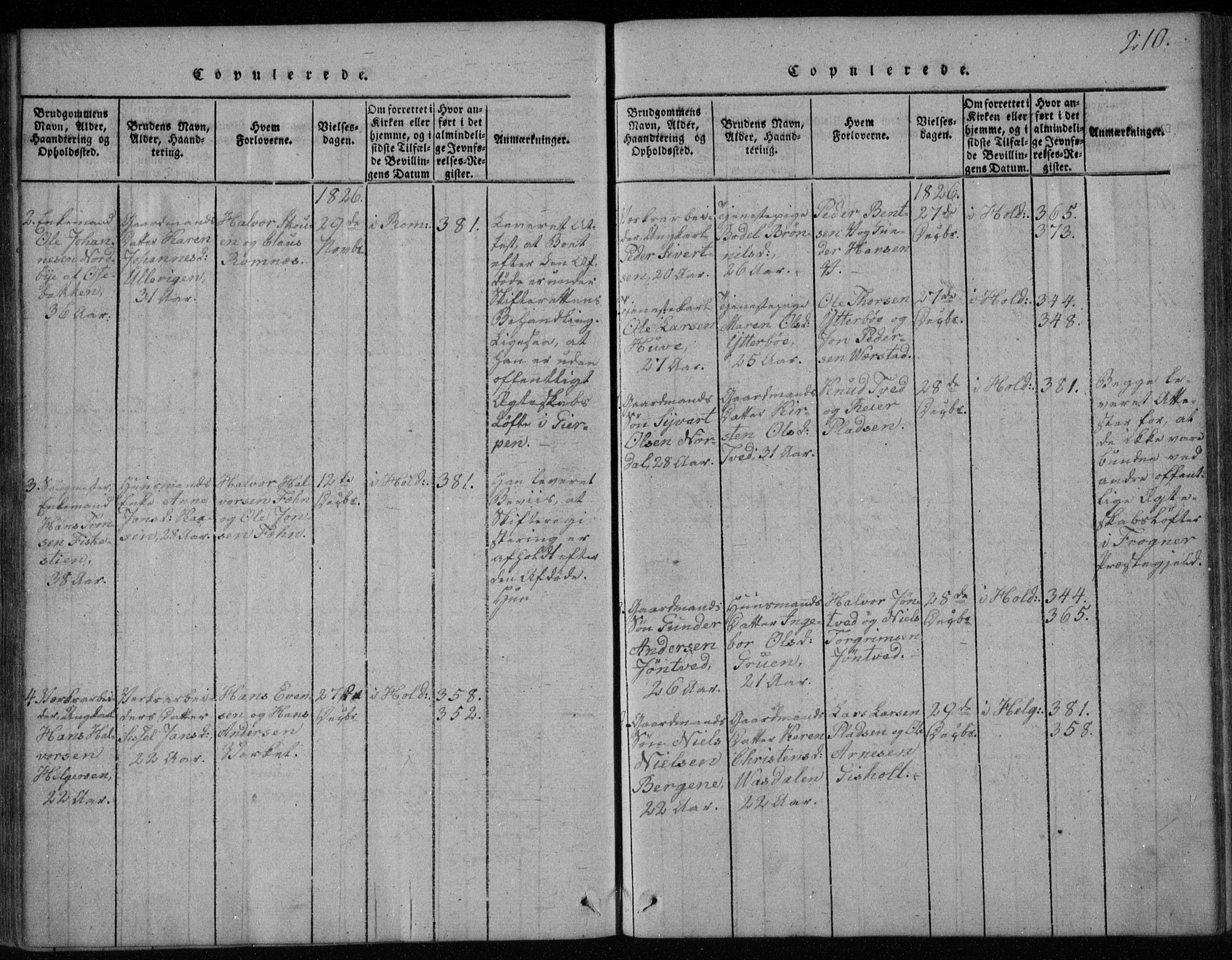 Holla kirkebøker, AV/SAKO-A-272/F/Fa/L0003: Parish register (official) no. 3, 1815-1830, p. 210
