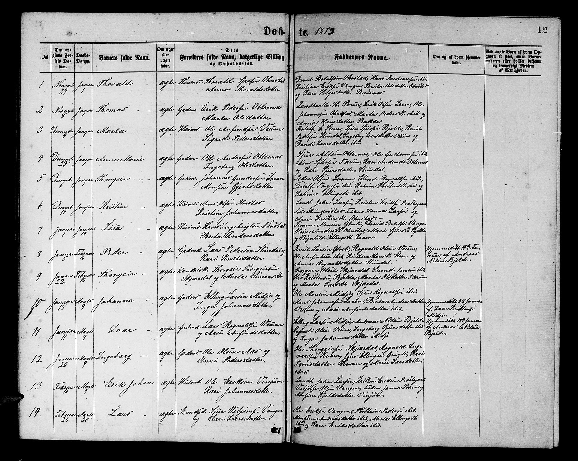 Aurland sokneprestembete, SAB/A-99937/H/Hb/Hba/L0001: Parish register (copy) no. A 1, 1868-1881, p. 12