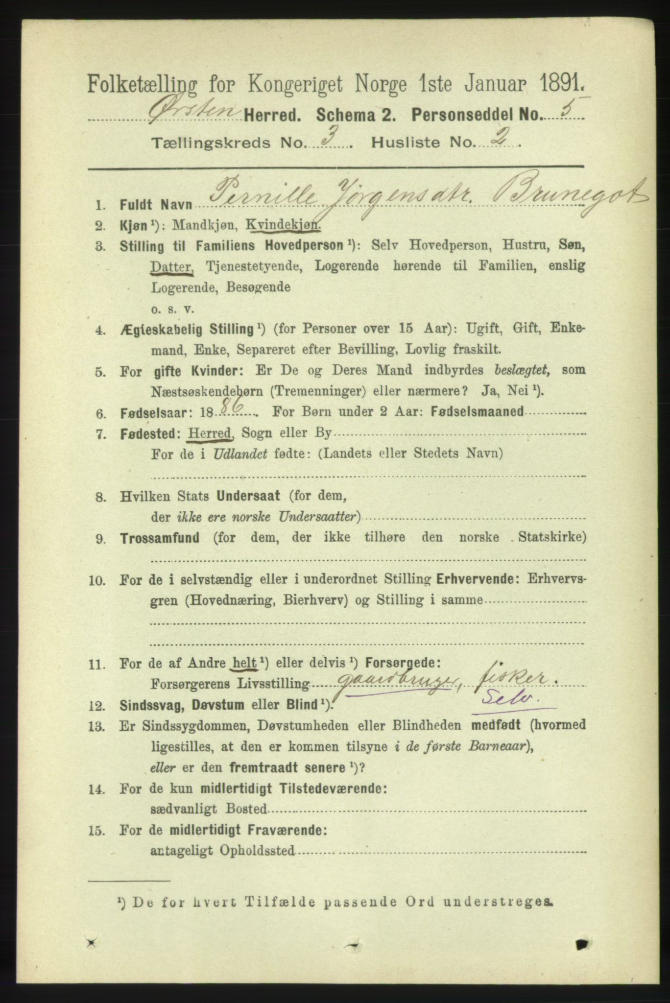 RA, 1891 census for 1520 Ørsta, 1891, p. 1219