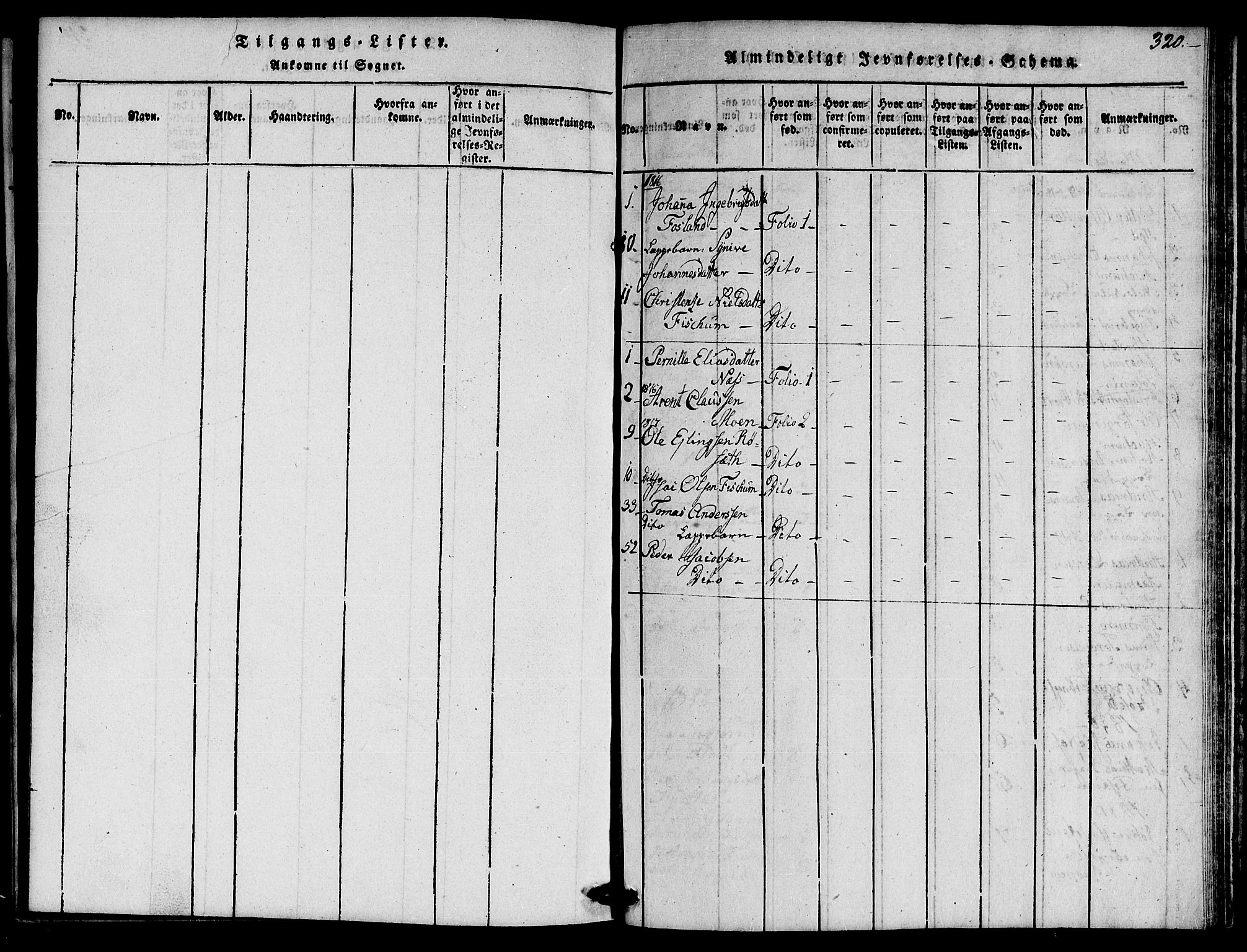 Ministerialprotokoller, klokkerbøker og fødselsregistre - Nord-Trøndelag, AV/SAT-A-1458/759/L0527: Parish register (copy) no. 759C01 /1, 1816-1825, p. 320