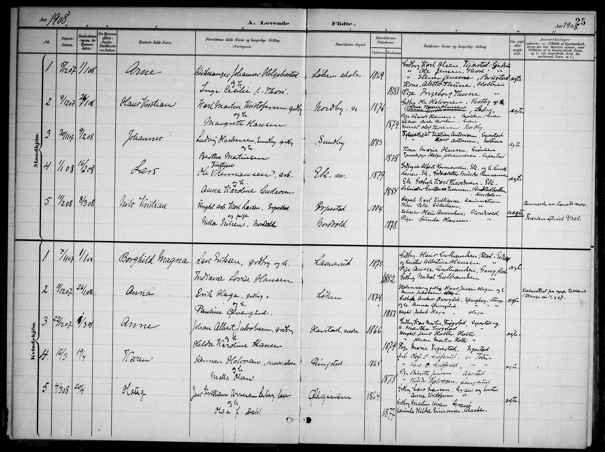 Nannestad prestekontor Kirkebøker, SAO/A-10414a/G/Gb/L0001: Parish register (copy) no. II 1, 1901-1917, p. 25