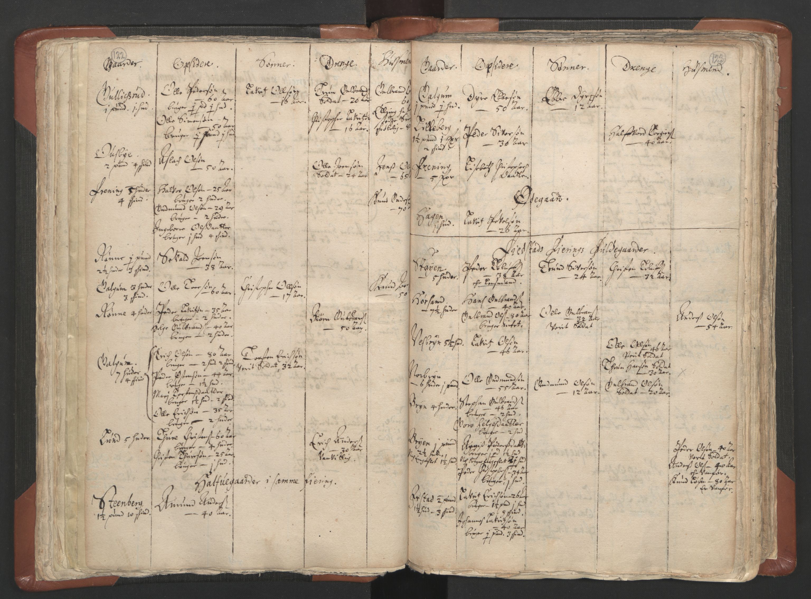 RA, Vicar's Census 1664-1666, no. 5: Hedmark deanery, 1664-1666, p. 122-123