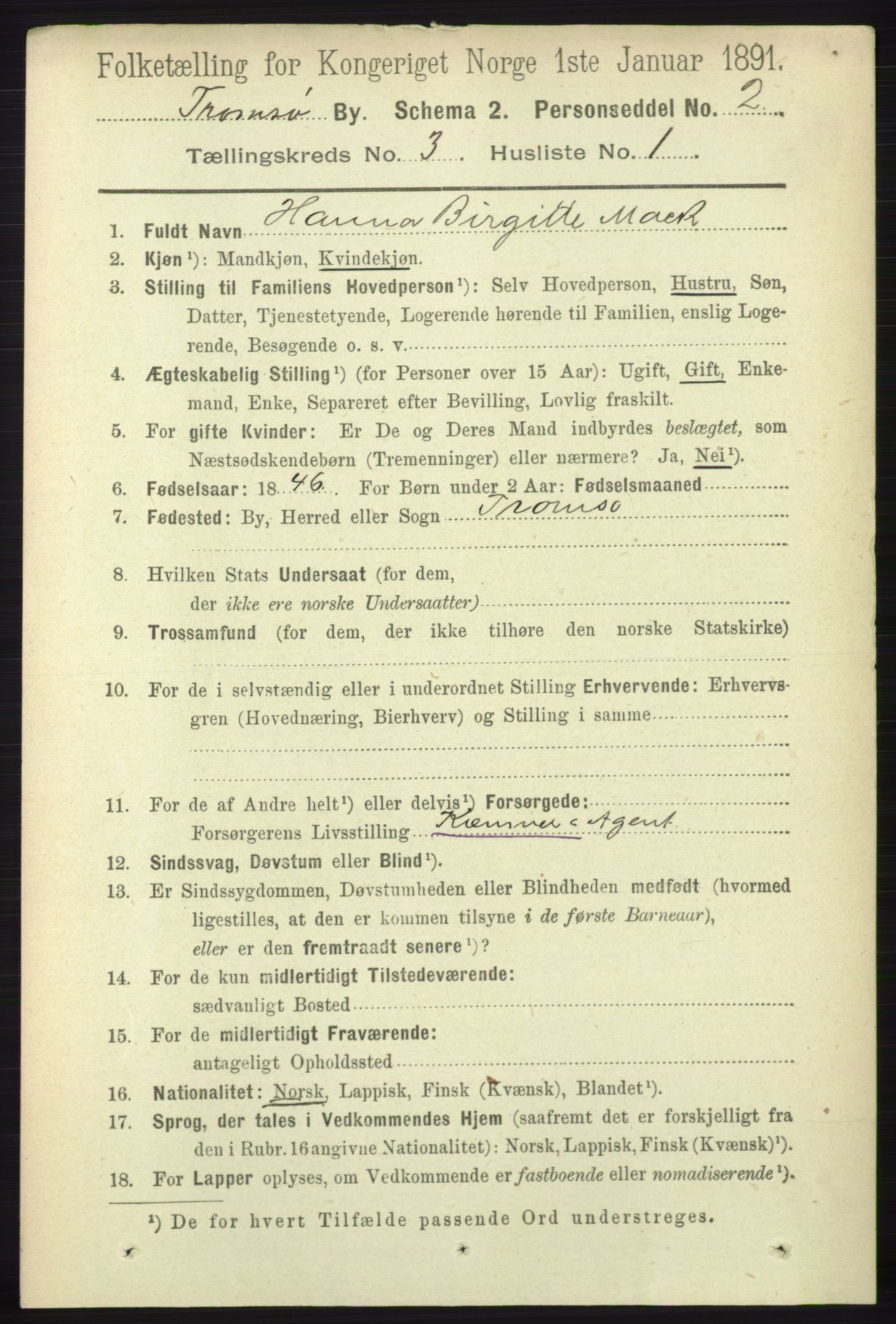 RA, 1891 census for 1902 Tromsø, 1891, p. 3175