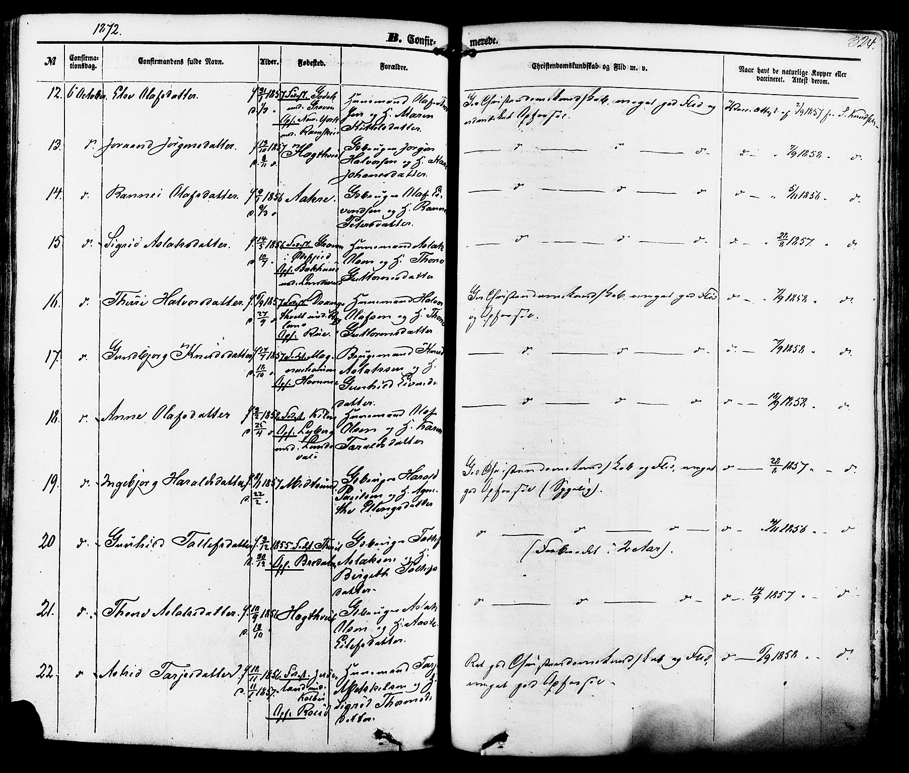 Kviteseid kirkebøker, AV/SAKO-A-276/F/Fa/L0007: Parish register (official) no. I 7, 1859-1881, p. 324