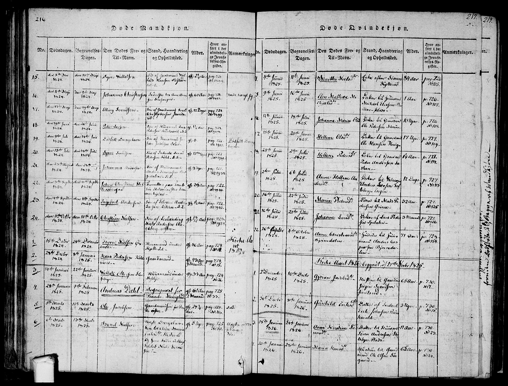 Råde prestekontor kirkebøker, AV/SAO-A-2009/F/Fa/L0004: Parish register (official) no. 4, 1814-1830, p. 216-217