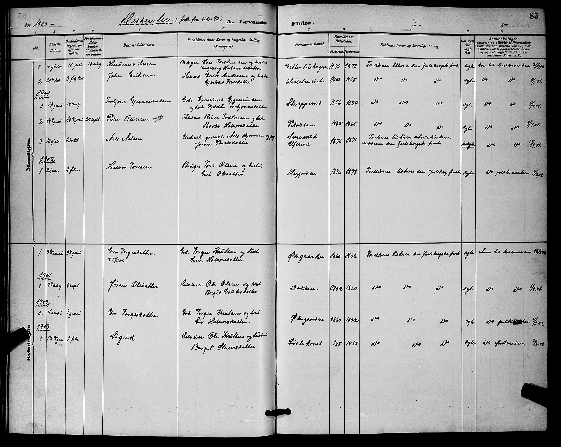 Nore kirkebøker, SAKO/A-238/G/Ga/L0003: Parish register (copy) no. I 3, 1886-1903, p. 85