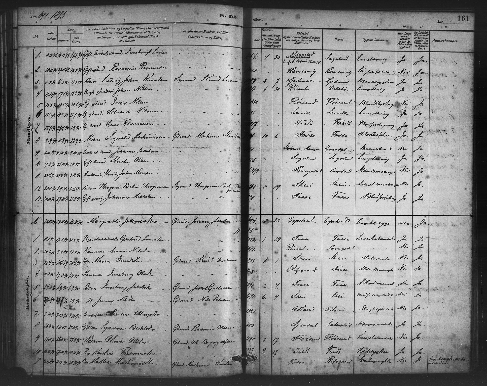 Alversund Sokneprestembete, AV/SAB-A-73901/H/Ha/Haa/Haac/L0001: Parish register (official) no. C 1, 1882-1900, p. 161