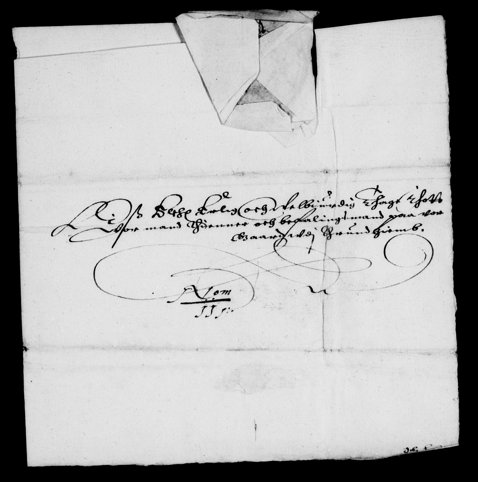 Rentekammeret inntil 1814, Reviderte regnskaper, Lensregnskaper, AV/RA-EA-5023/R/Rb/Rbw/L0027: Trondheim len, 1624-1625