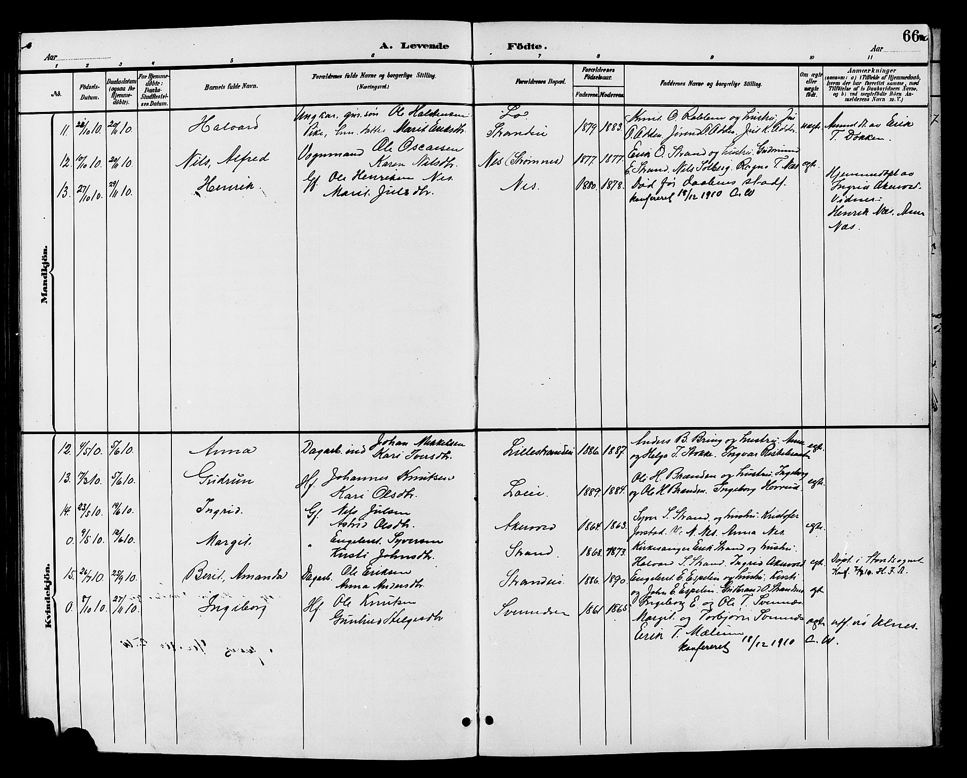 Nord-Aurdal prestekontor, SAH/PREST-132/H/Ha/Hab/L0007: Parish register (copy) no. 7, 1883-1910, p. 66
