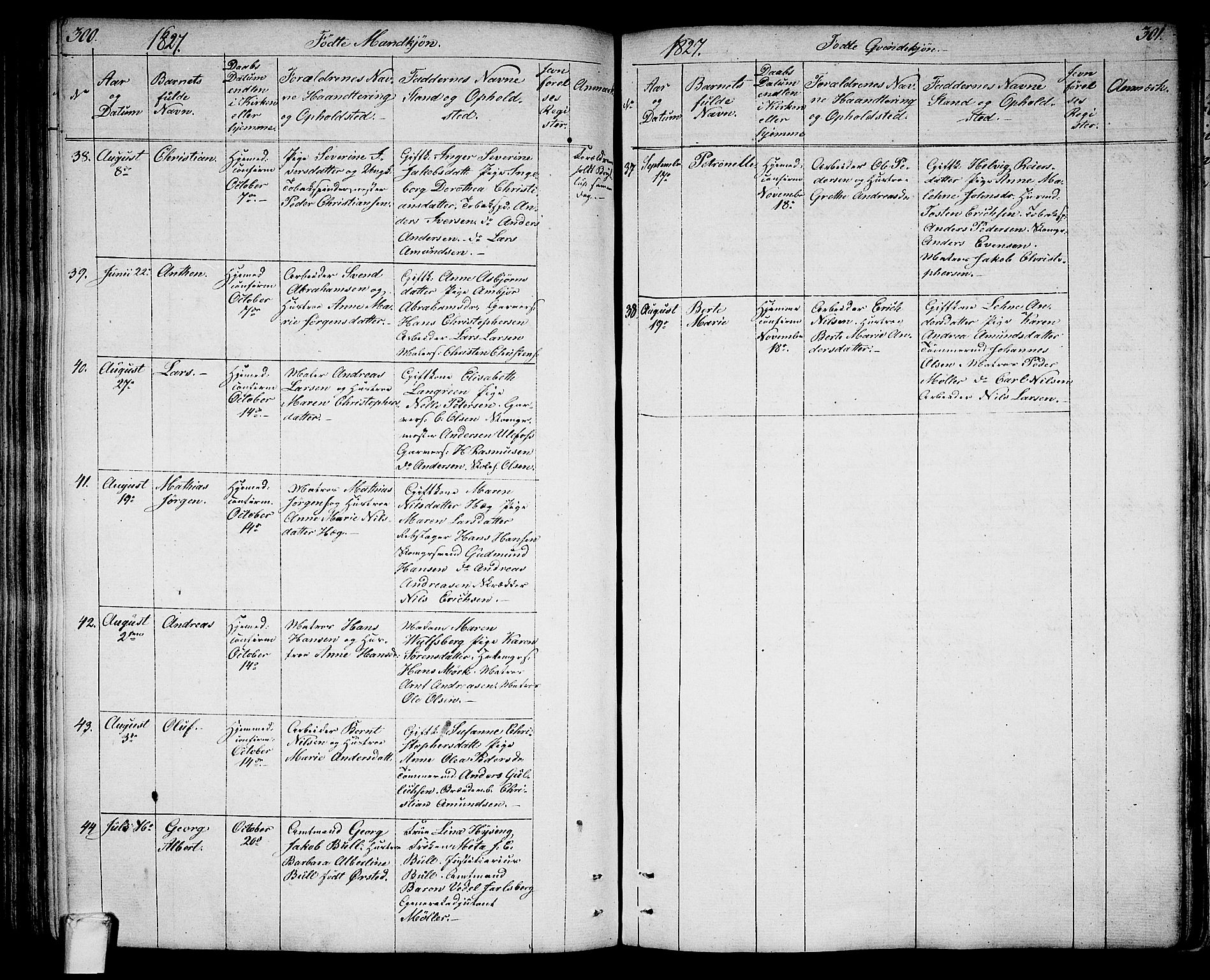 Larvik kirkebøker, SAKO/A-352/G/Ga/L0002: Parish register (copy) no. I 2, 1807-1830, p. 300-301