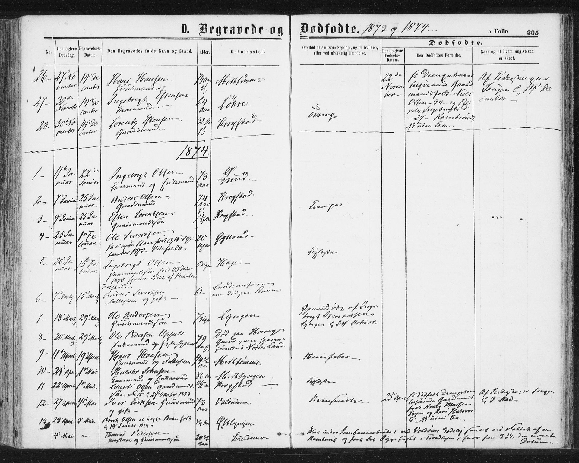 Ministerialprotokoller, klokkerbøker og fødselsregistre - Sør-Trøndelag, SAT/A-1456/692/L1104: Parish register (official) no. 692A04, 1862-1878, p. 205