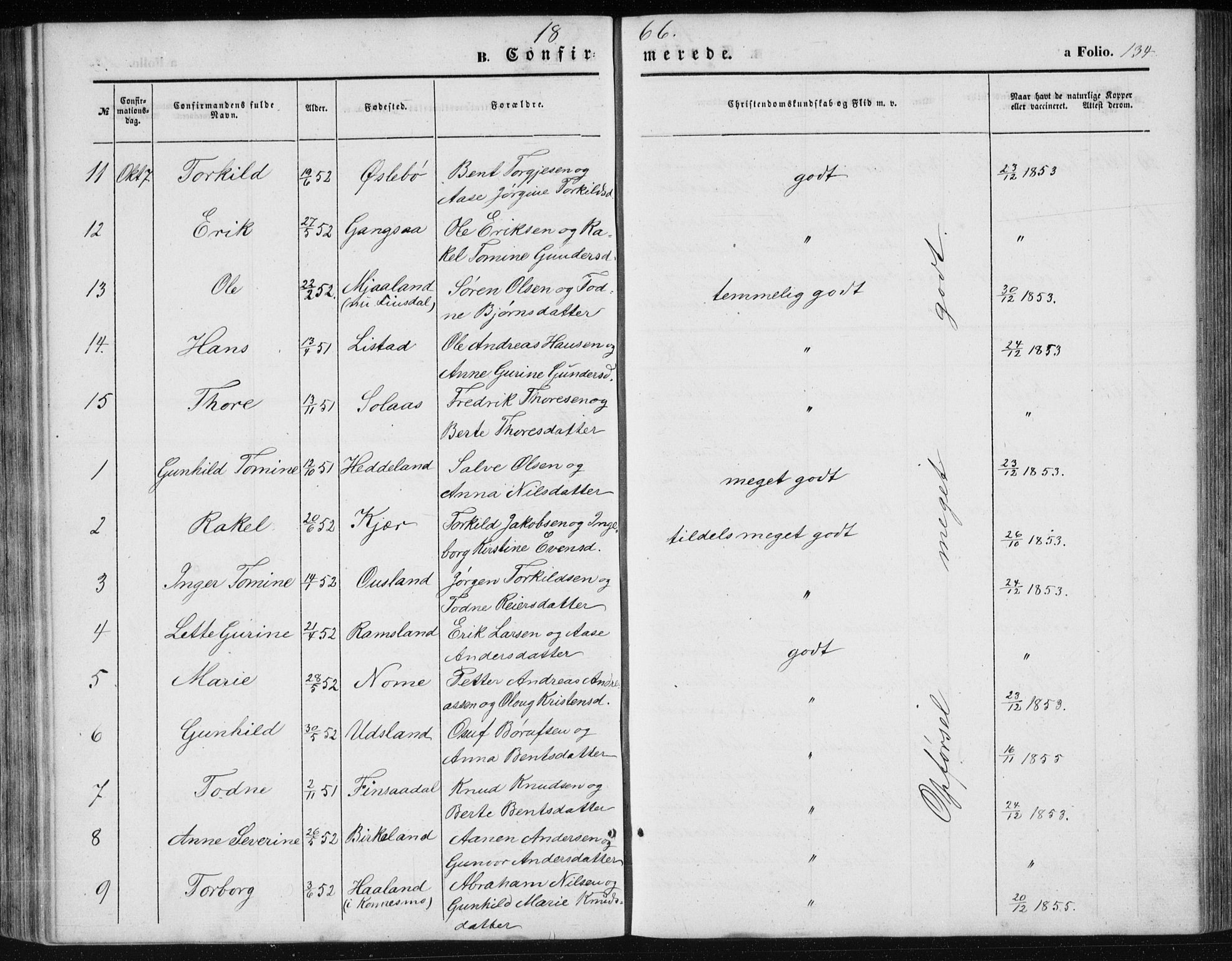 Holum sokneprestkontor, AV/SAK-1111-0022/F/Fb/Fbc/L0002: Parish register (copy) no. B 2, 1860-1882, p. 134