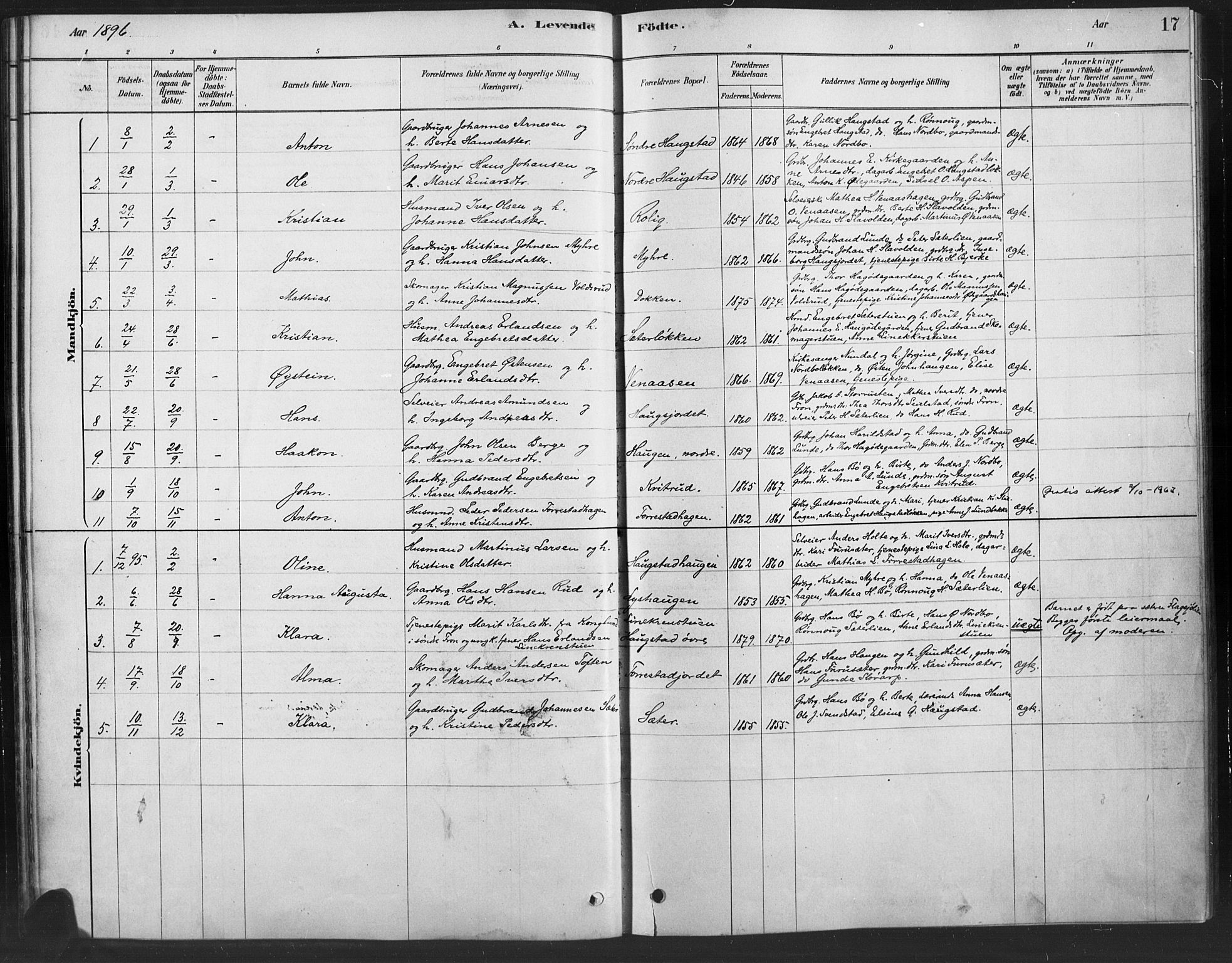 Ringebu prestekontor, AV/SAH-PREST-082/H/Ha/Haa/L0010: Parish register (official) no. 10, 1878-1898, p. 17