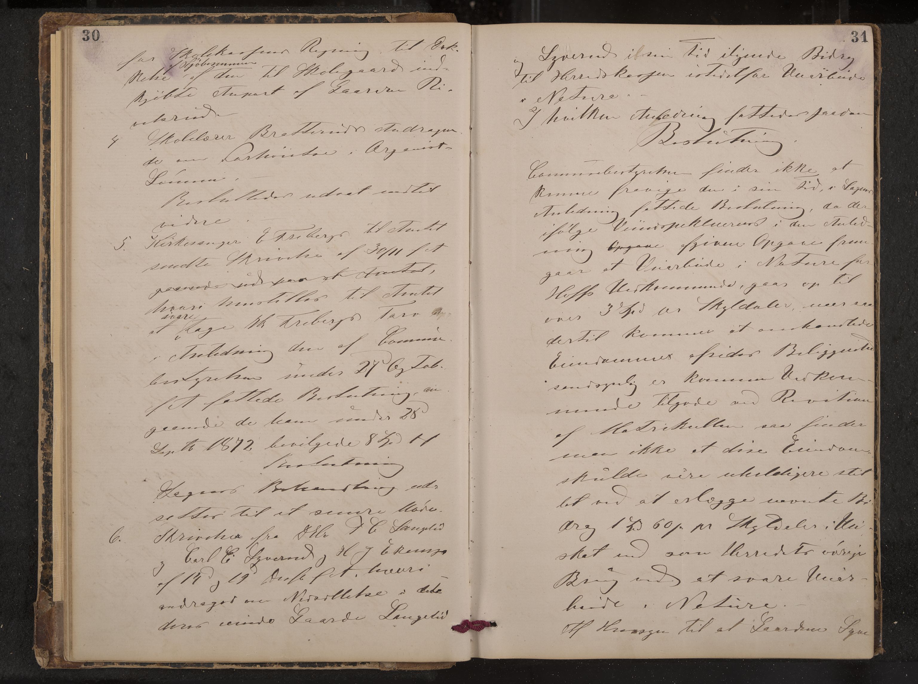 Hof formannskap og sentraladministrasjon, IKAK/0714021-1/A/Aa/L0003: Møtebok med register, 1874-1888, p. 30-31