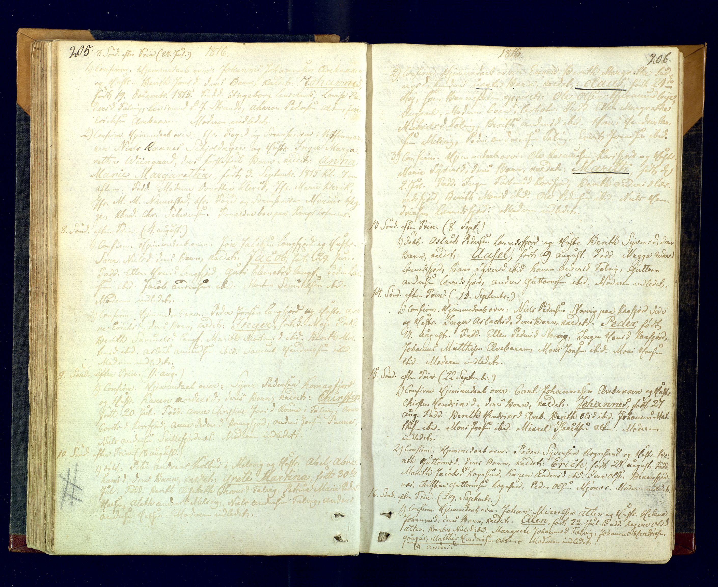 Talvik sokneprestkontor, AV/SATØ-S-1337/H/Ha/L0007kirke: Parish register (official) no. 7, 1813-1821, p. 205-206