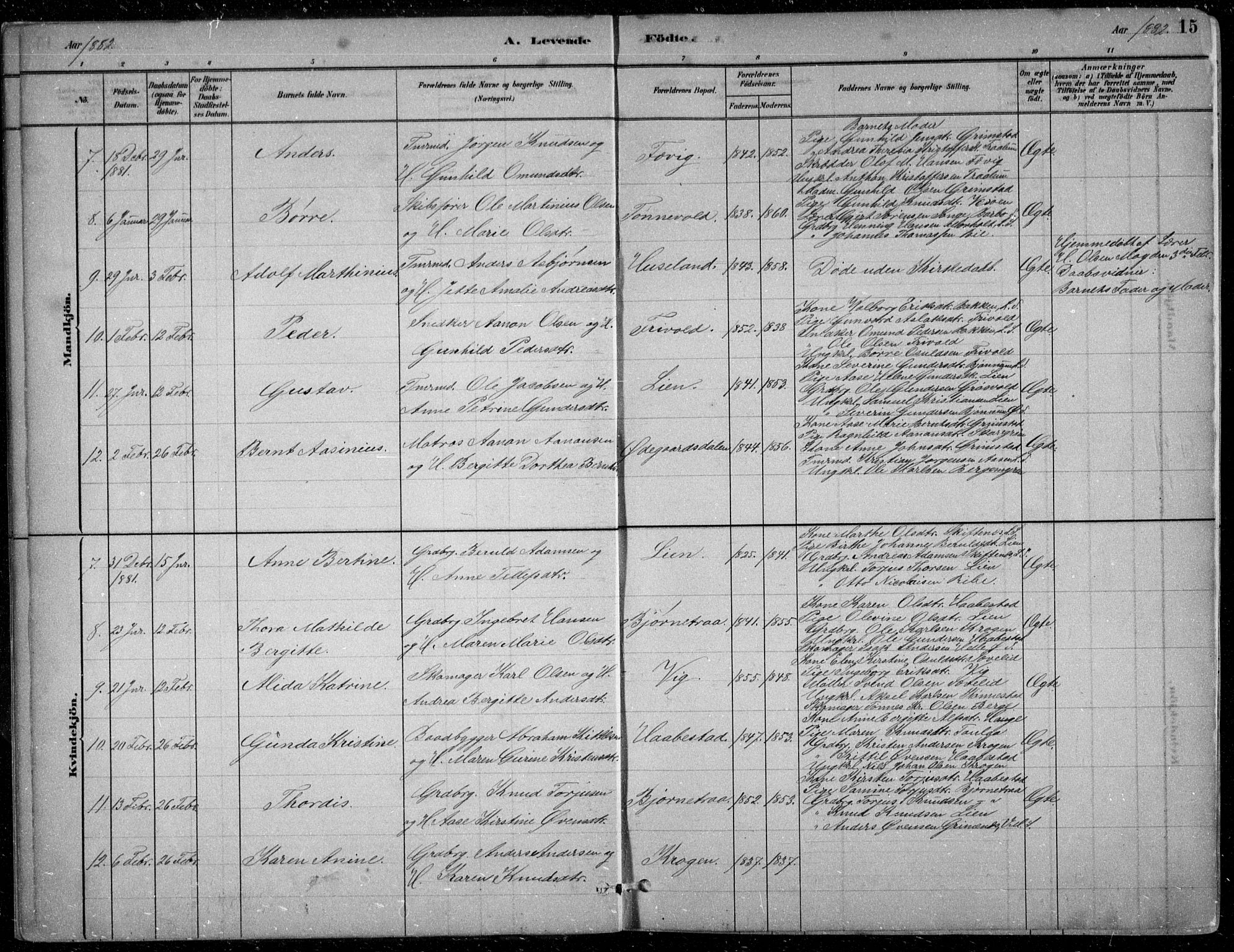 Fjære sokneprestkontor, AV/SAK-1111-0011/F/Fb/L0011: Parish register (copy) no. B 11, 1881-1905, p. 15
