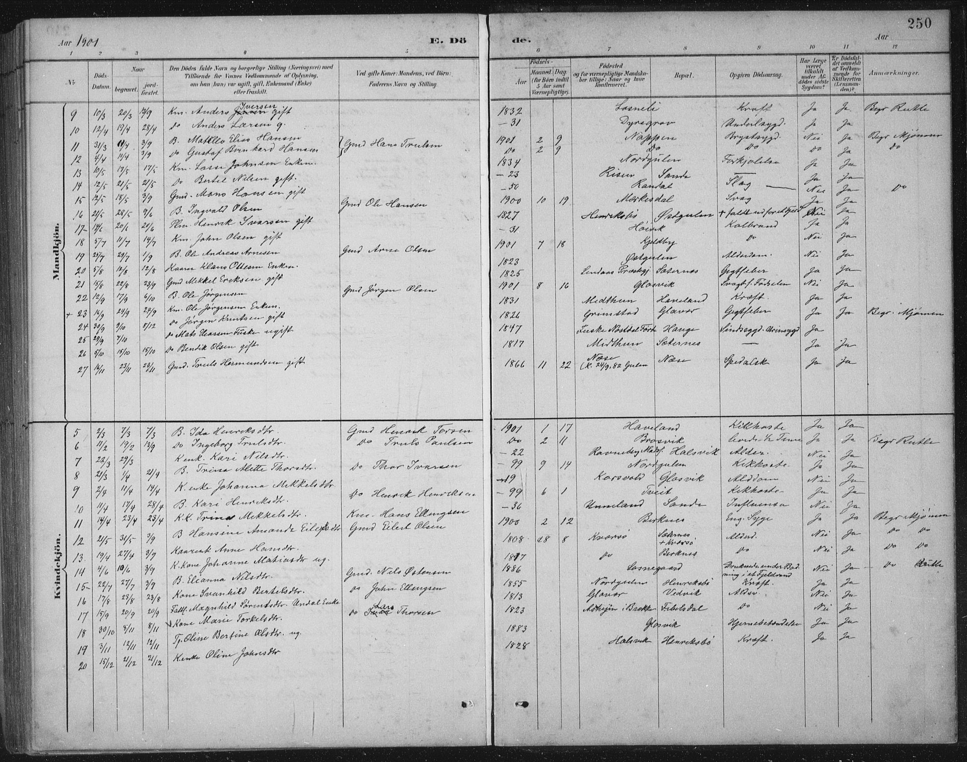 Gulen sokneprestembete, SAB/A-80201/H/Hab/Habb/L0003: Parish register (copy) no. B 3, 1884-1907, p. 250