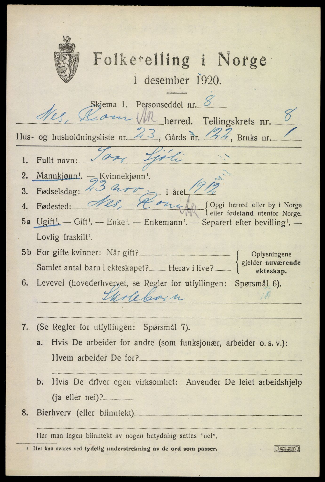 SAO, 1920 census for Nes, 1920, p. 9616