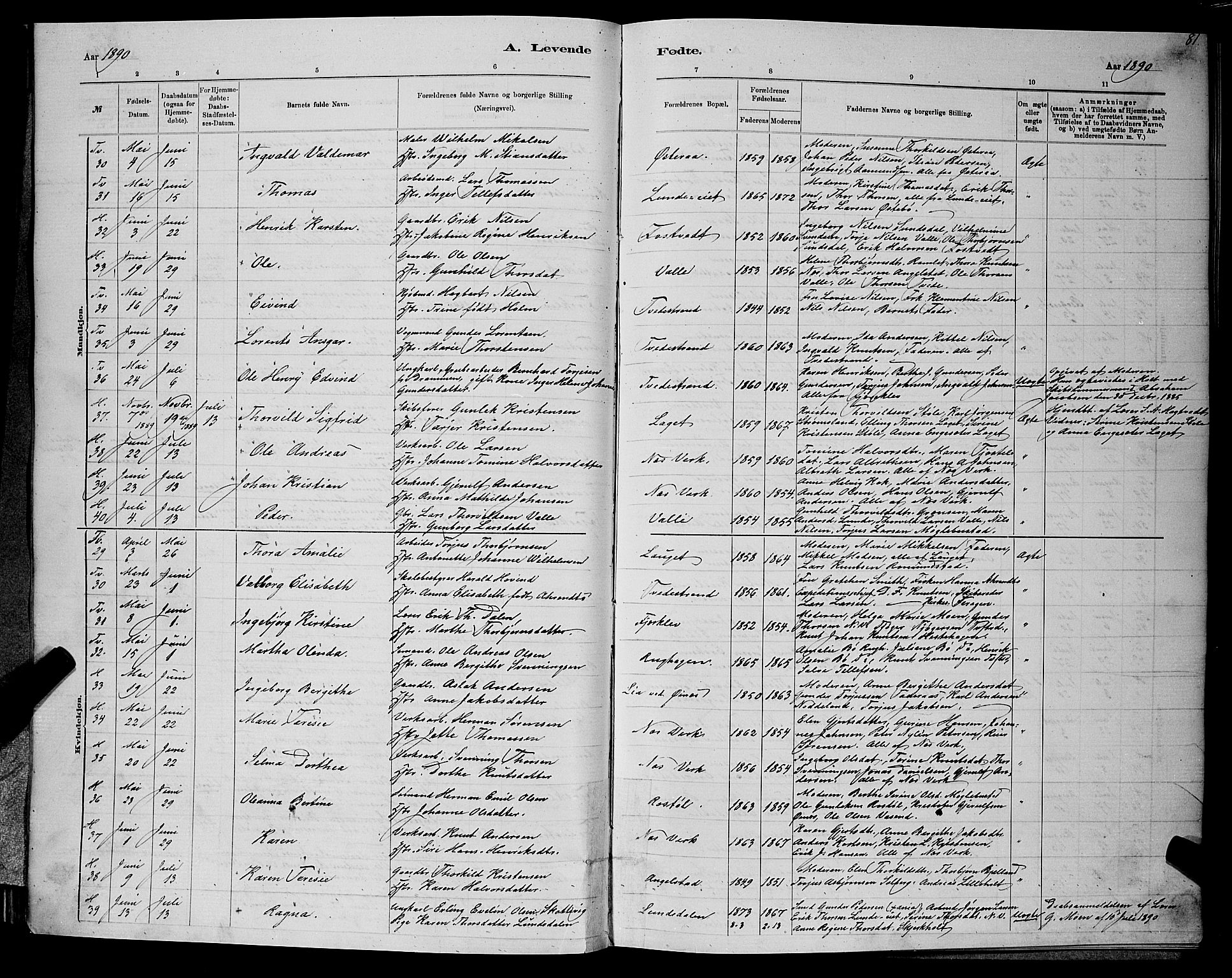 Holt sokneprestkontor, AV/SAK-1111-0021/F/Fb/L0010: Parish register (copy) no. B 10, 1883-1896, p. 81