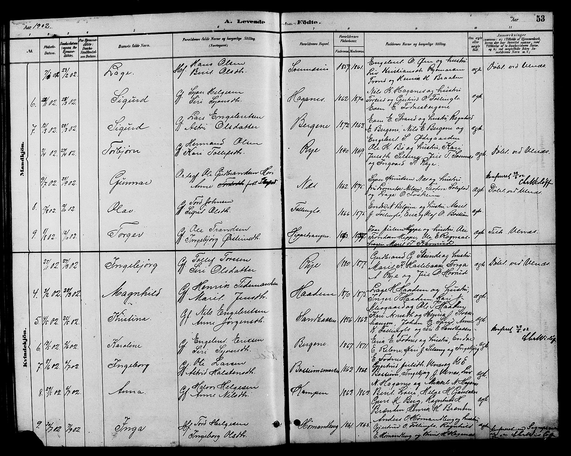 Nord-Aurdal prestekontor, SAH/PREST-132/H/Ha/Hab/L0007: Parish register (copy) no. 7, 1883-1910, p. 53