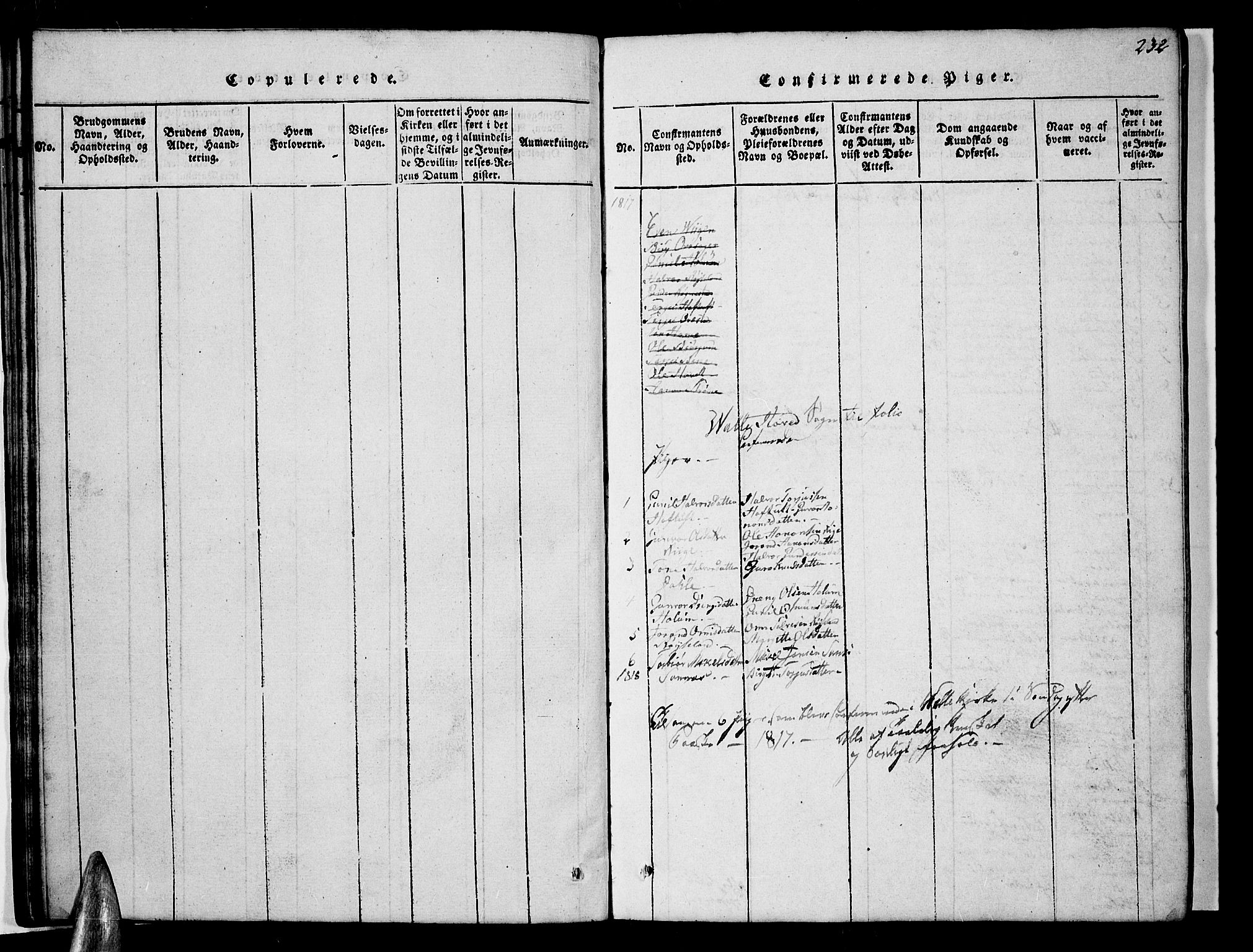 Valle sokneprestkontor, SAK/1111-0044/F/Fb/Fbc/L0001: Parish register (copy) no. B 1 /1, 1816-1829, p. 232