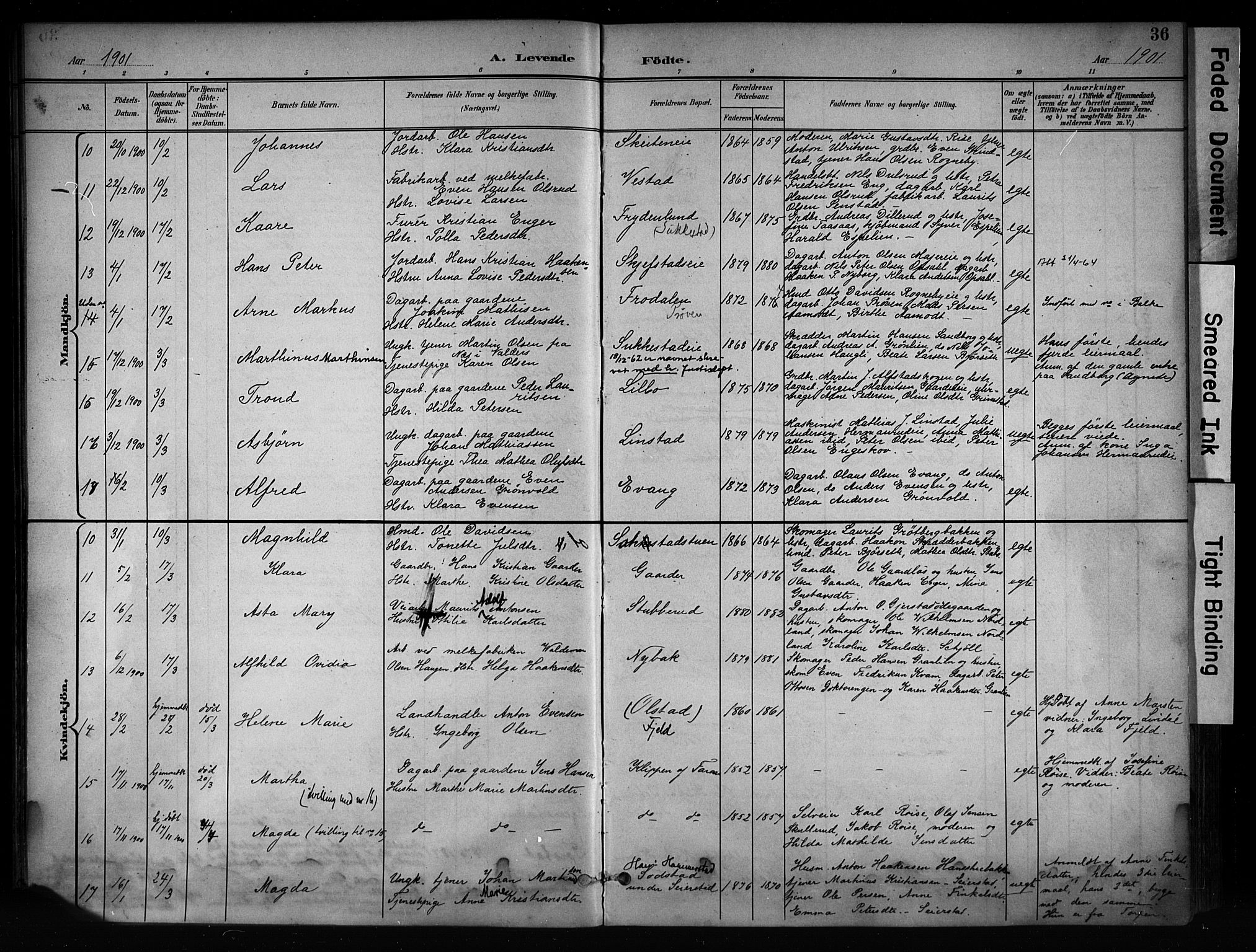 Østre Toten prestekontor, SAH/PREST-104/H/Ha/Haa/L0008: Parish register (official) no. 8, 1897-1909, p. 36