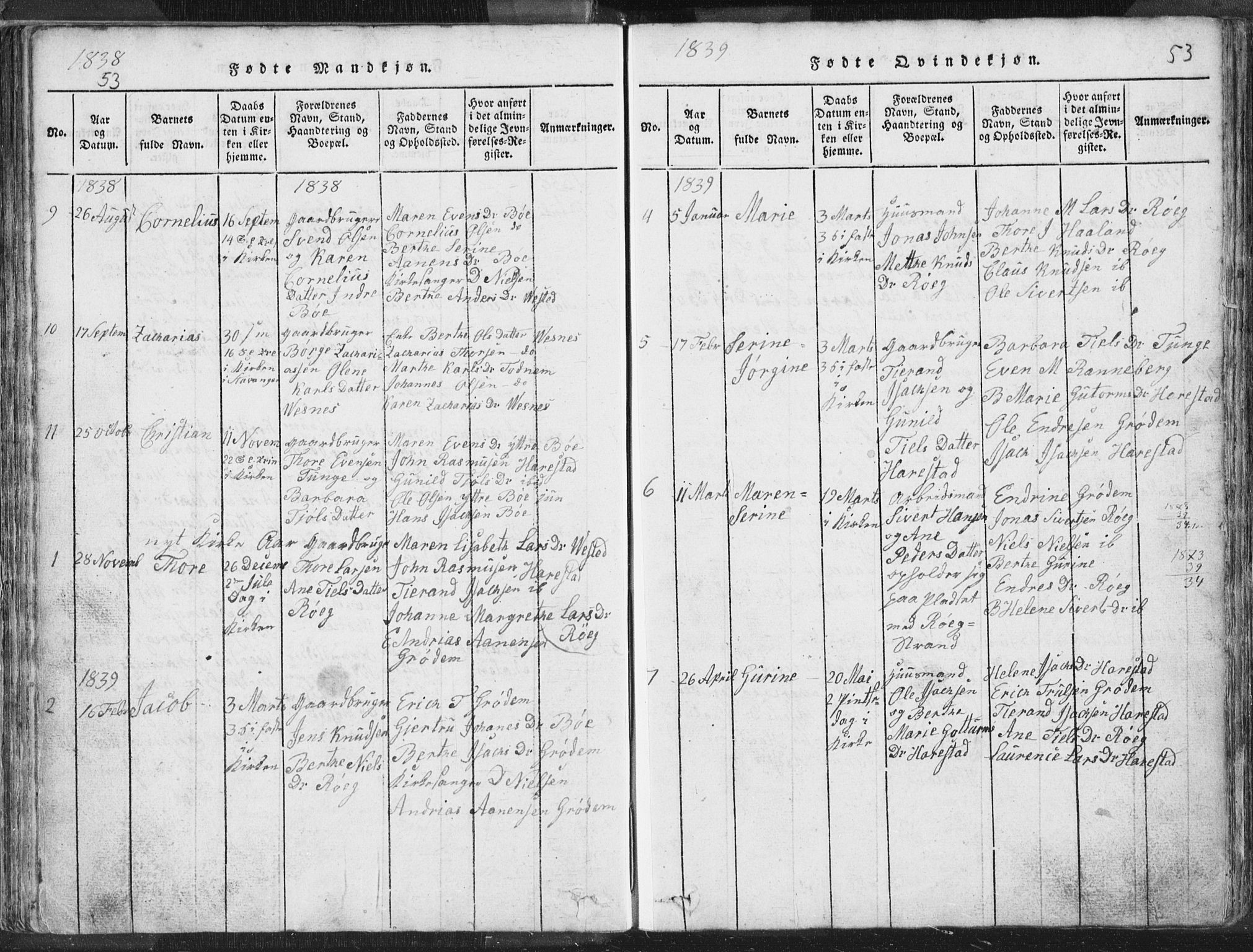 Hetland sokneprestkontor, SAST/A-101826/30/30BA/L0001: Parish register (official) no. A 1, 1816-1856, p. 53