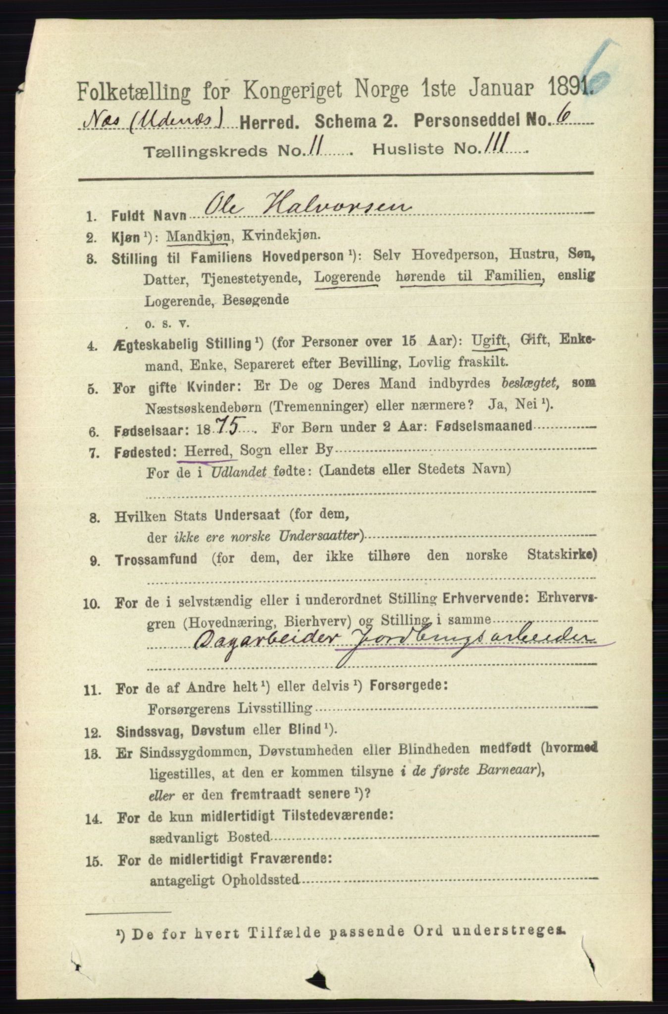 RA, 1891 census for 0236 Nes, 1891, p. 7005