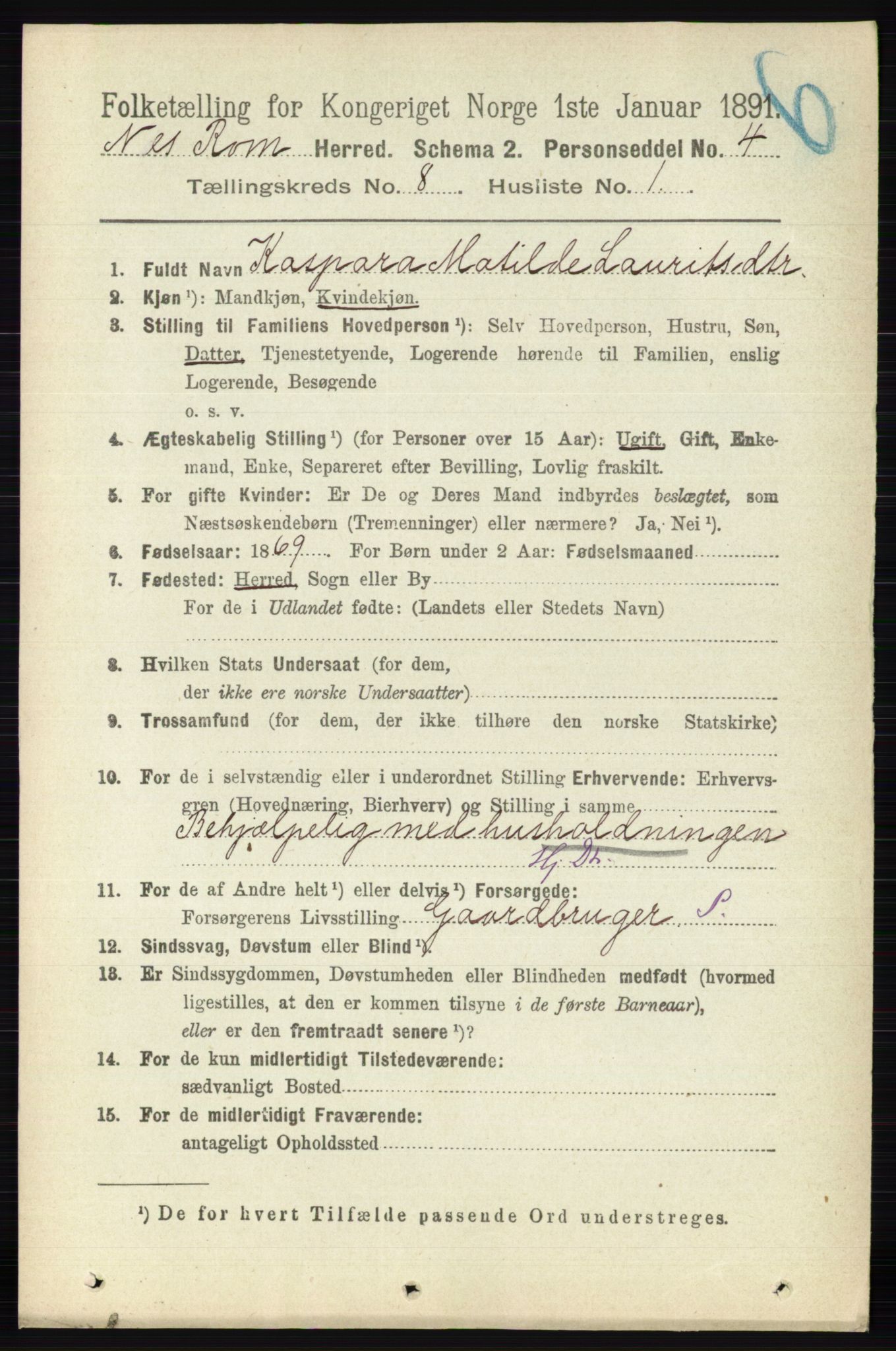 RA, 1891 census for 0236 Nes, 1891, p. 4586