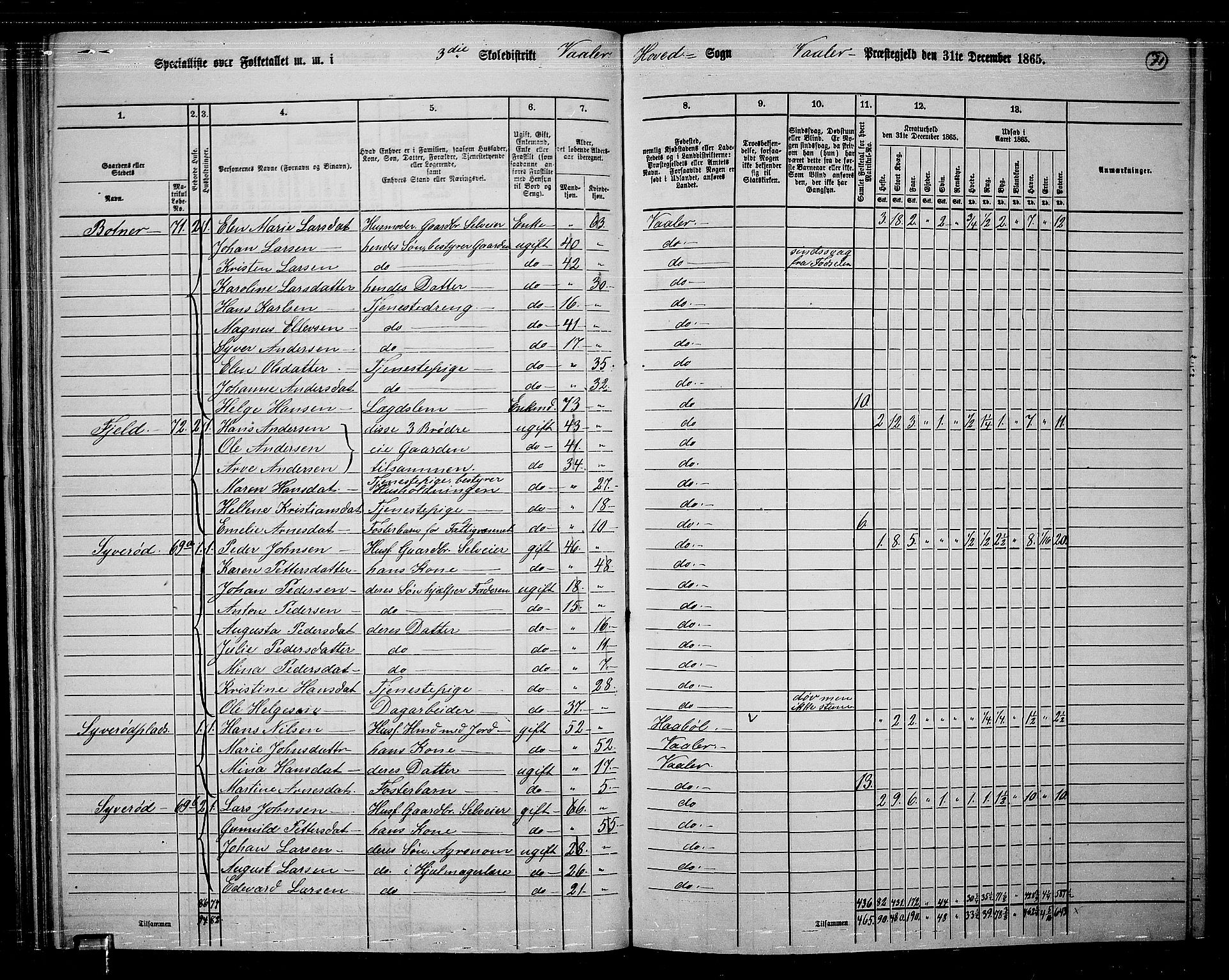 RA, 1865 census for Våler, 1865, p. 66