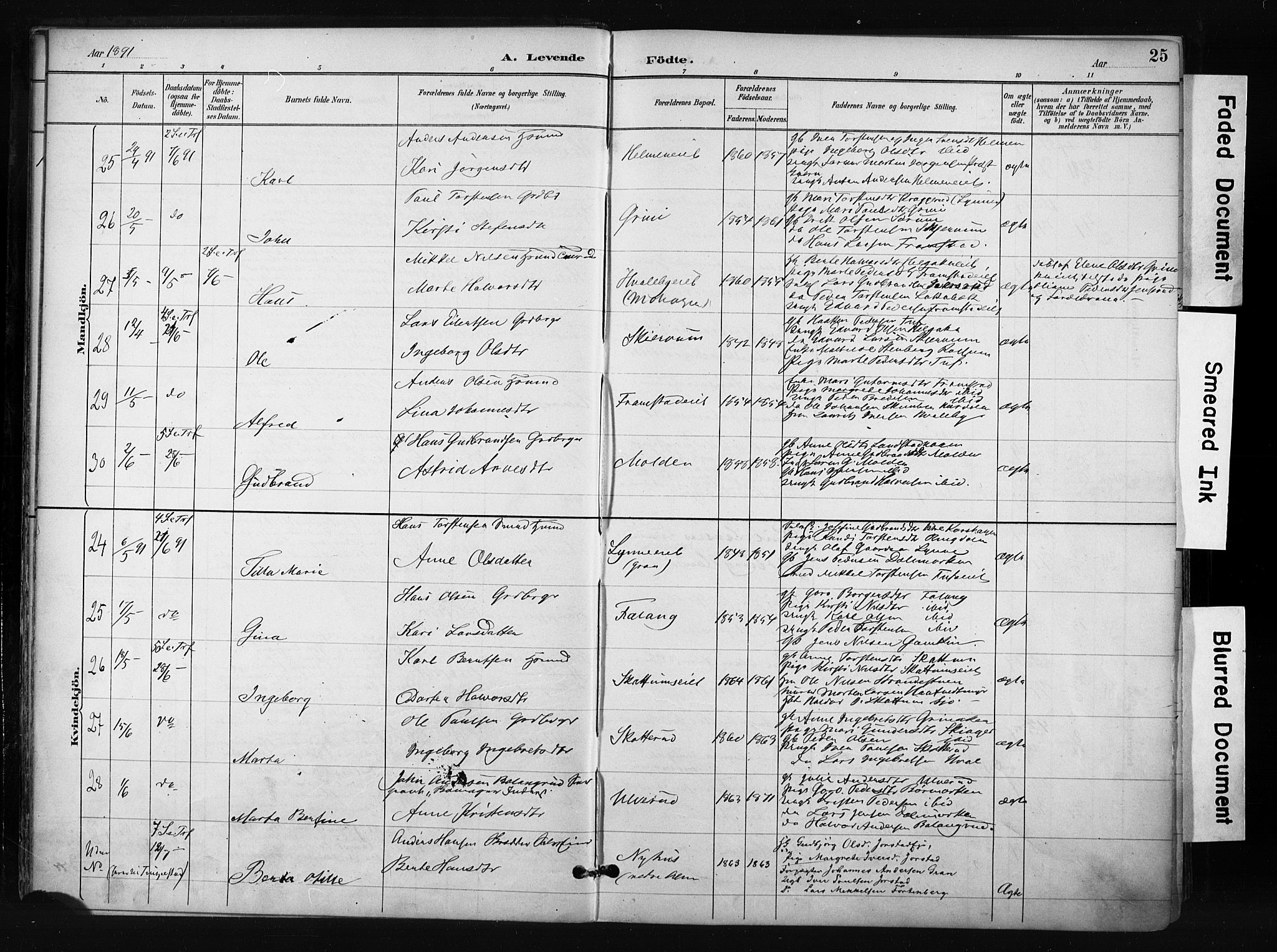 Gran prestekontor, SAH/PREST-112/H/Ha/Haa/L0017: Parish register (official) no. 17, 1889-1897, p. 25