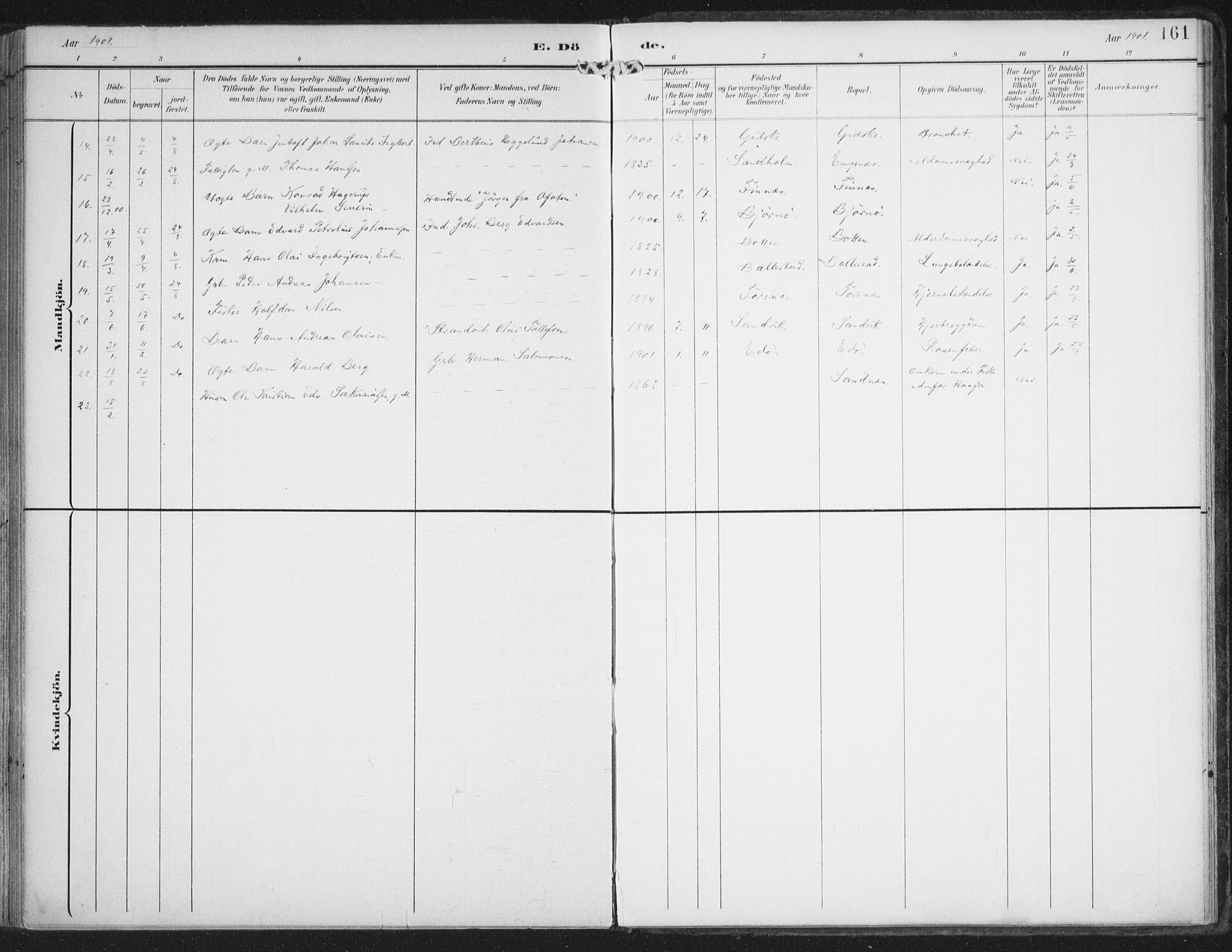 Lenvik sokneprestembete, AV/SATØ-S-1310/H/Ha/Haa/L0015kirke: Parish register (official) no. 15, 1896-1915, p. 161