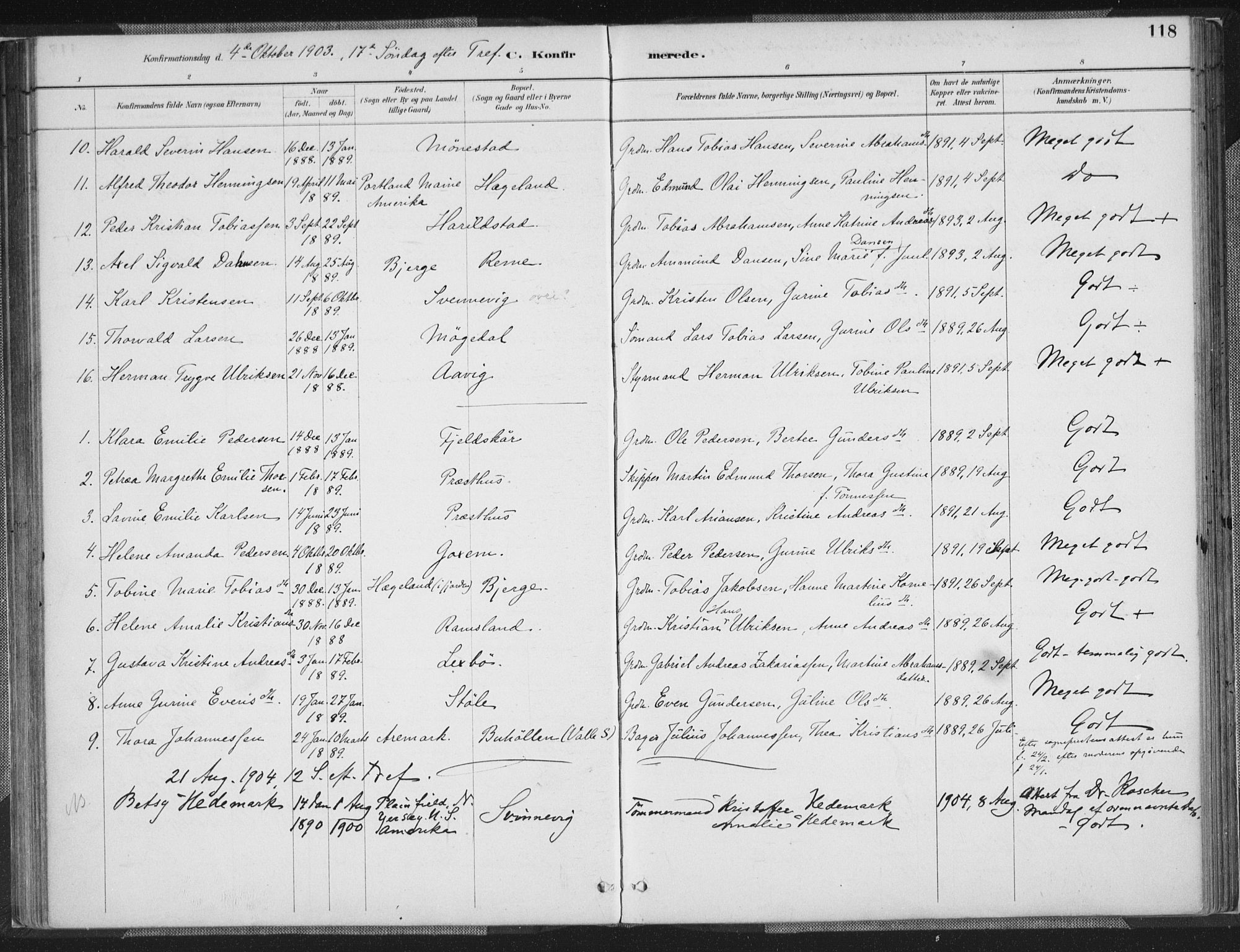 Sør-Audnedal sokneprestkontor, AV/SAK-1111-0039/F/Fa/Faa/L0004: Parish register (official) no. A 4, 1884-1909, p. 118