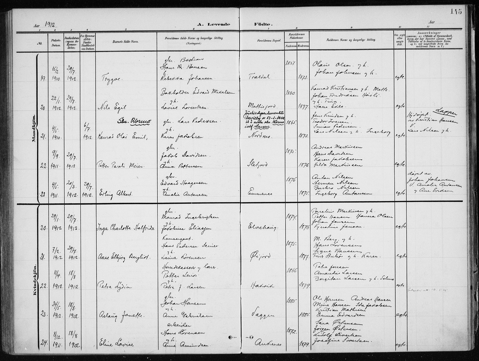 Ministerialprotokoller, klokkerbøker og fødselsregistre - Nordland, SAT/A-1459/866/L0941: Parish register (official) no. 866A04, 1901-1917, p. 145