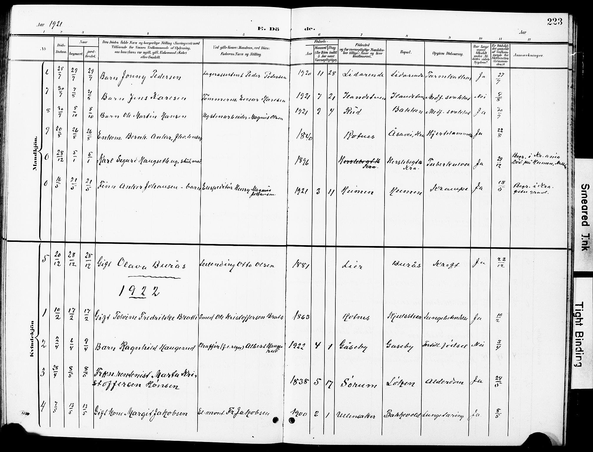 Nittedal prestekontor Kirkebøker, AV/SAO-A-10365a/G/Ga/L0003: Parish register (copy) no. I 3, 1902-1929, p. 223