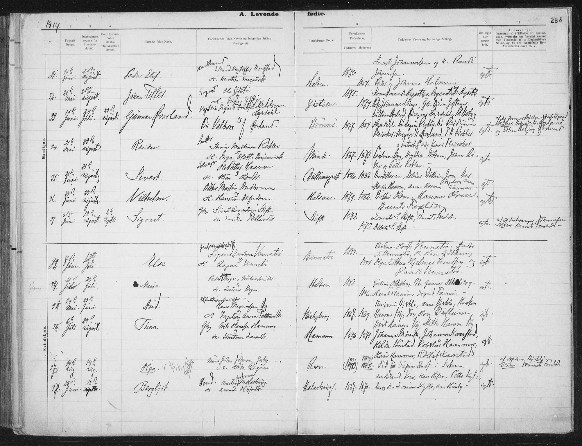 Ministerialprotokoller, klokkerbøker og fødselsregistre - Nord-Trøndelag, AV/SAT-A-1458/709/L0082: Parish register (official) no. 709A22, 1896-1916, p. 284