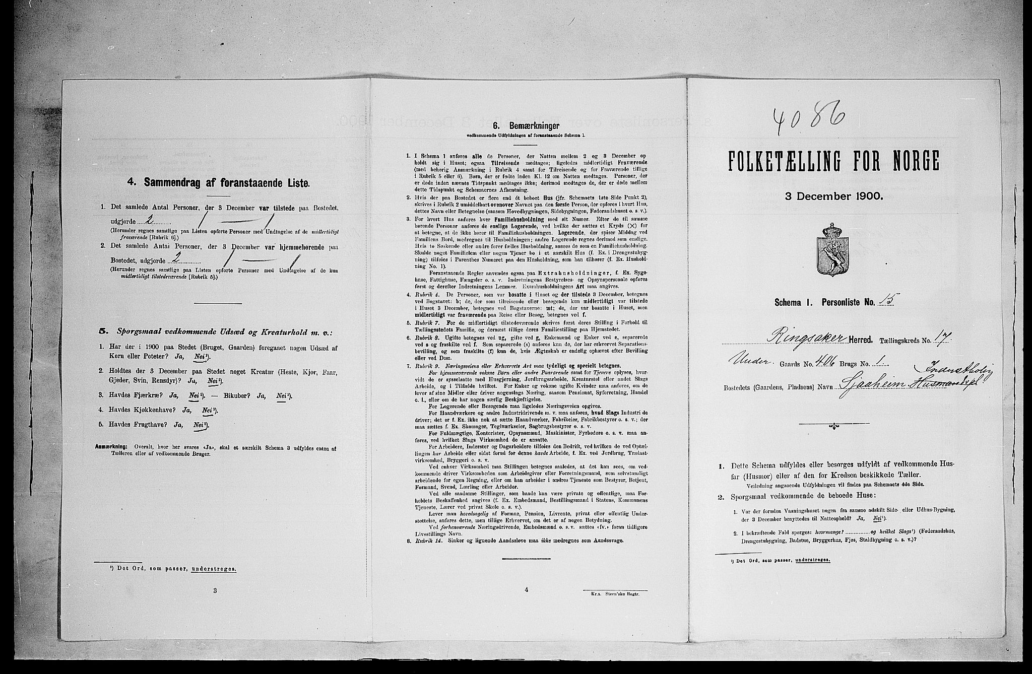 SAH, 1900 census for Ringsaker, 1900, p. 3126