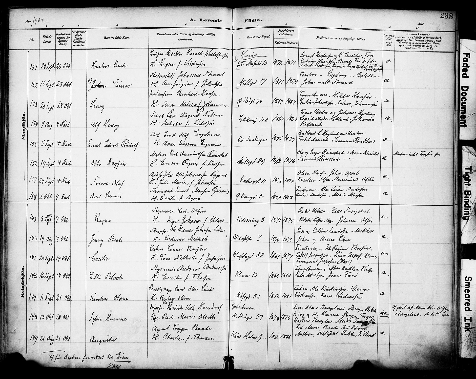 Domkirken sokneprestkontor, SAST/A-101812/001/30/30BA/L0030: Parish register (official) no. A 29, 1889-1902, p. 238