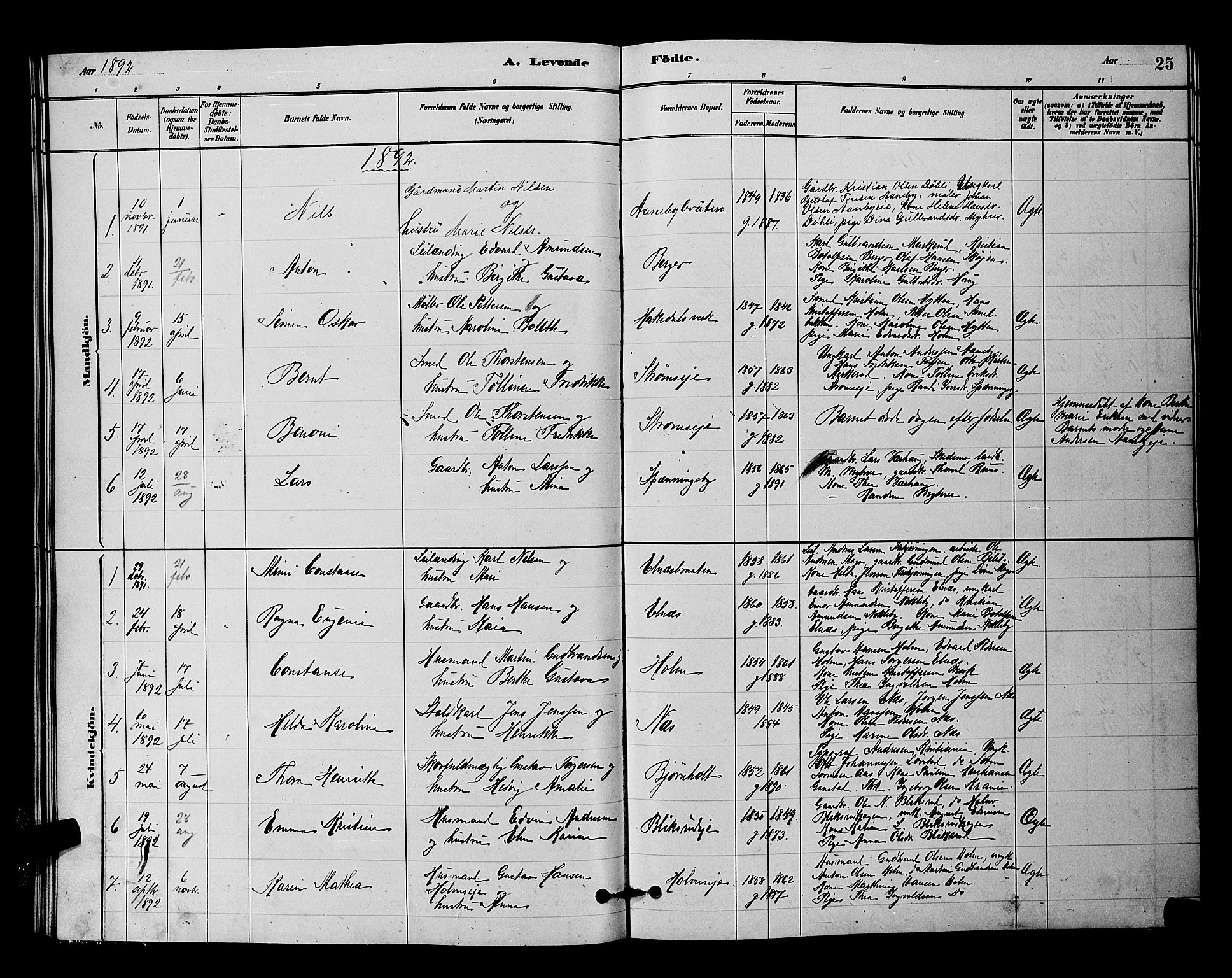 Nittedal prestekontor Kirkebøker, SAO/A-10365a/G/Gb/L0002: Parish register (copy) no. II 2, 1879-1901, p. 25