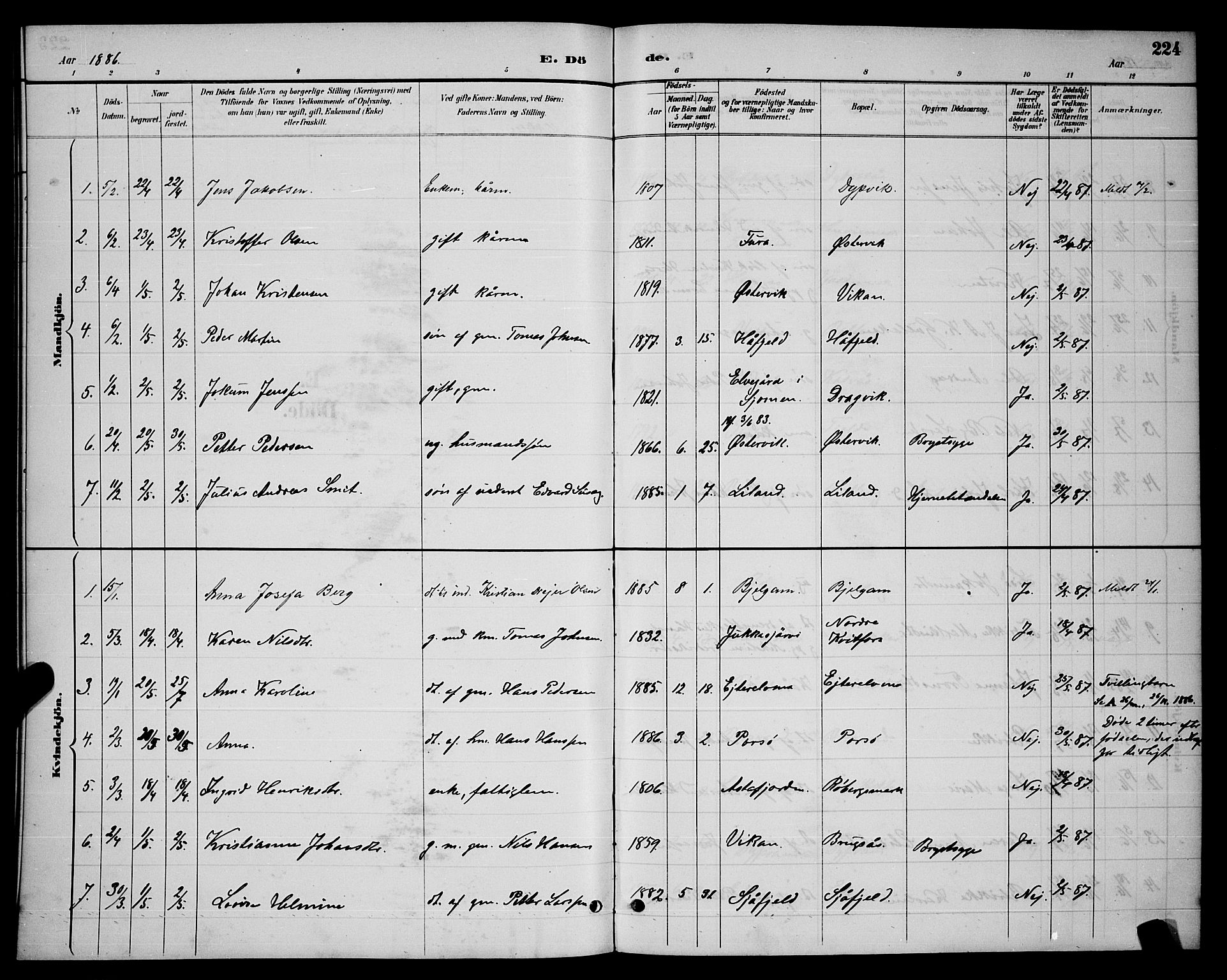 Ministerialprotokoller, klokkerbøker og fødselsregistre - Nordland, AV/SAT-A-1459/863/L0914: Parish register (copy) no. 863C04, 1886-1897, p. 224