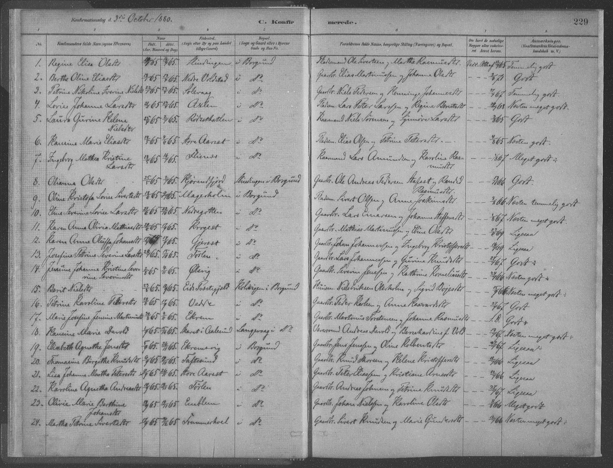 Ministerialprotokoller, klokkerbøker og fødselsregistre - Møre og Romsdal, AV/SAT-A-1454/528/L0402: Parish register (official) no. 528A12II, 1880-1903, p. 229