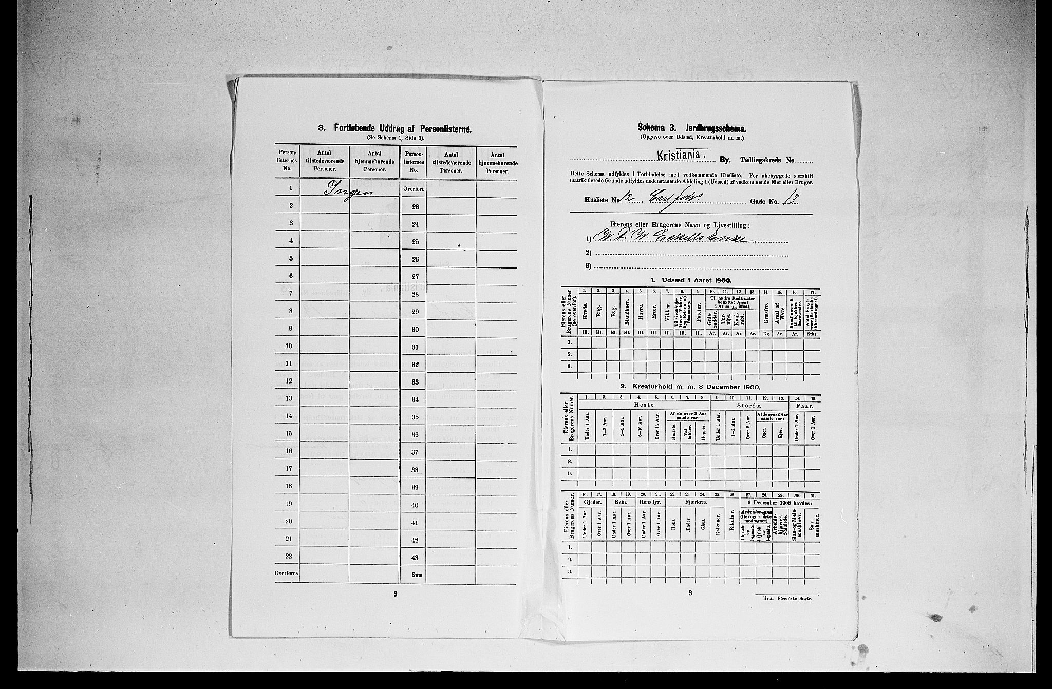 SAO, 1900 census for Kristiania, 1900, p. 11391