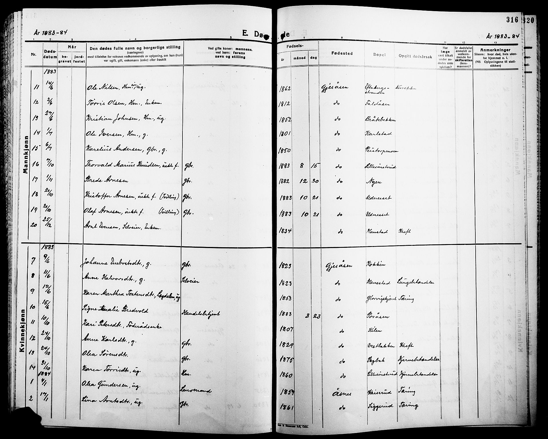 Åsnes prestekontor, SAH/PREST-042/H/Ha/Haa/L0000B: Parish register (official), 1870-1889, p. 316
