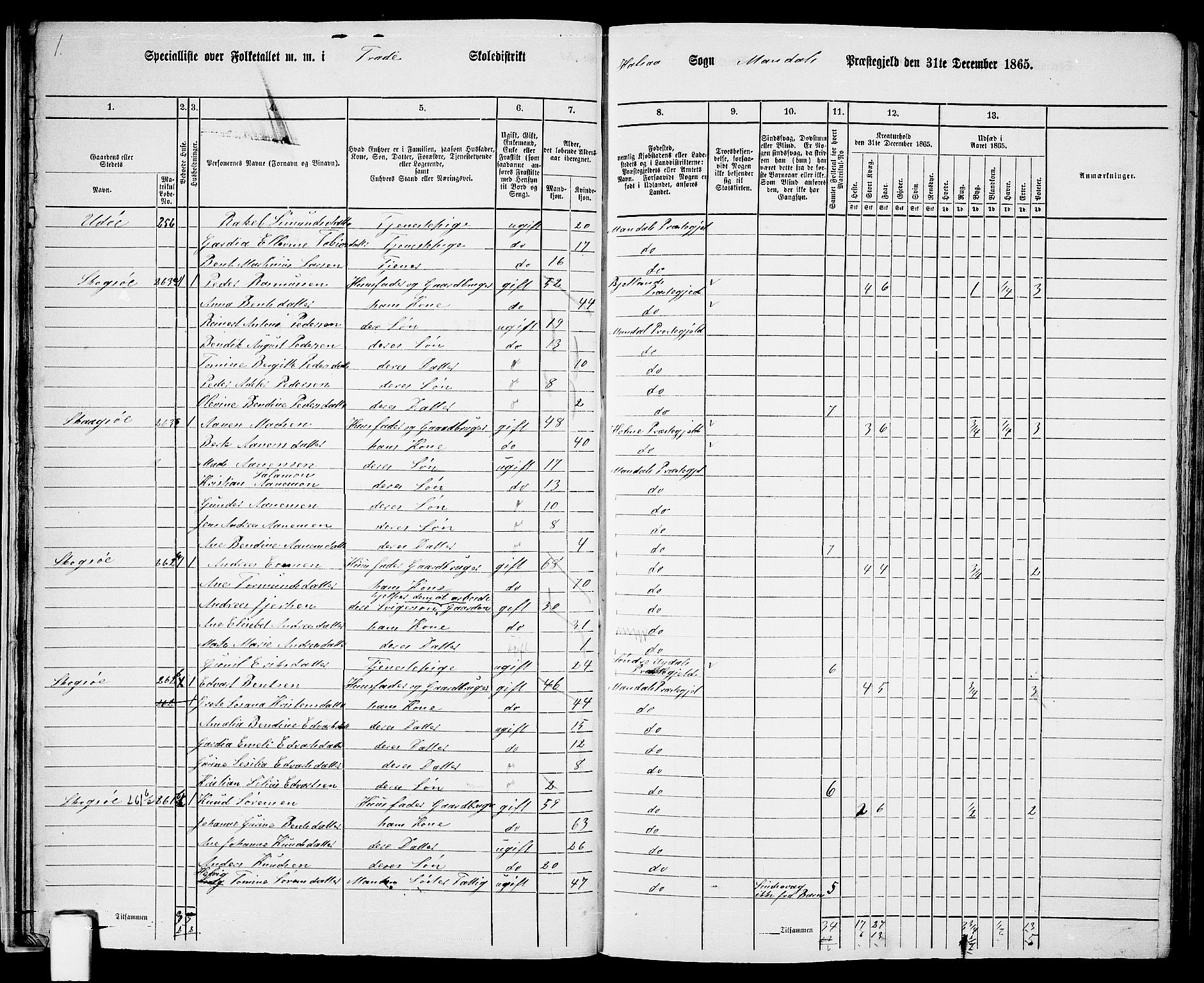 RA, 1865 census for Mandal/Halse og Harkmark, 1865, p. 30