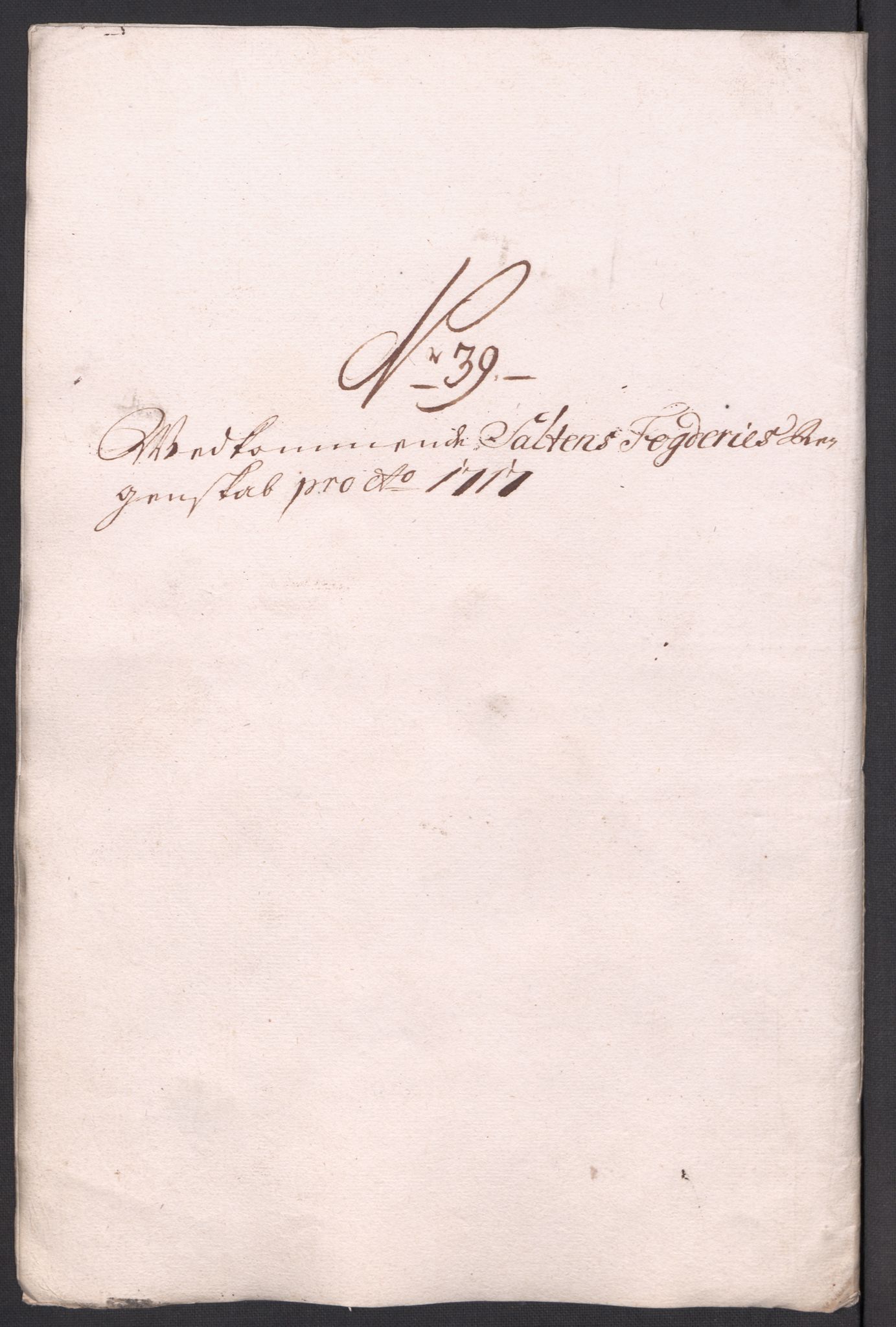 Rentekammeret inntil 1814, Reviderte regnskaper, Fogderegnskap, AV/RA-EA-4092/R66/L4587: Fogderegnskap Salten, 1717, p. 301