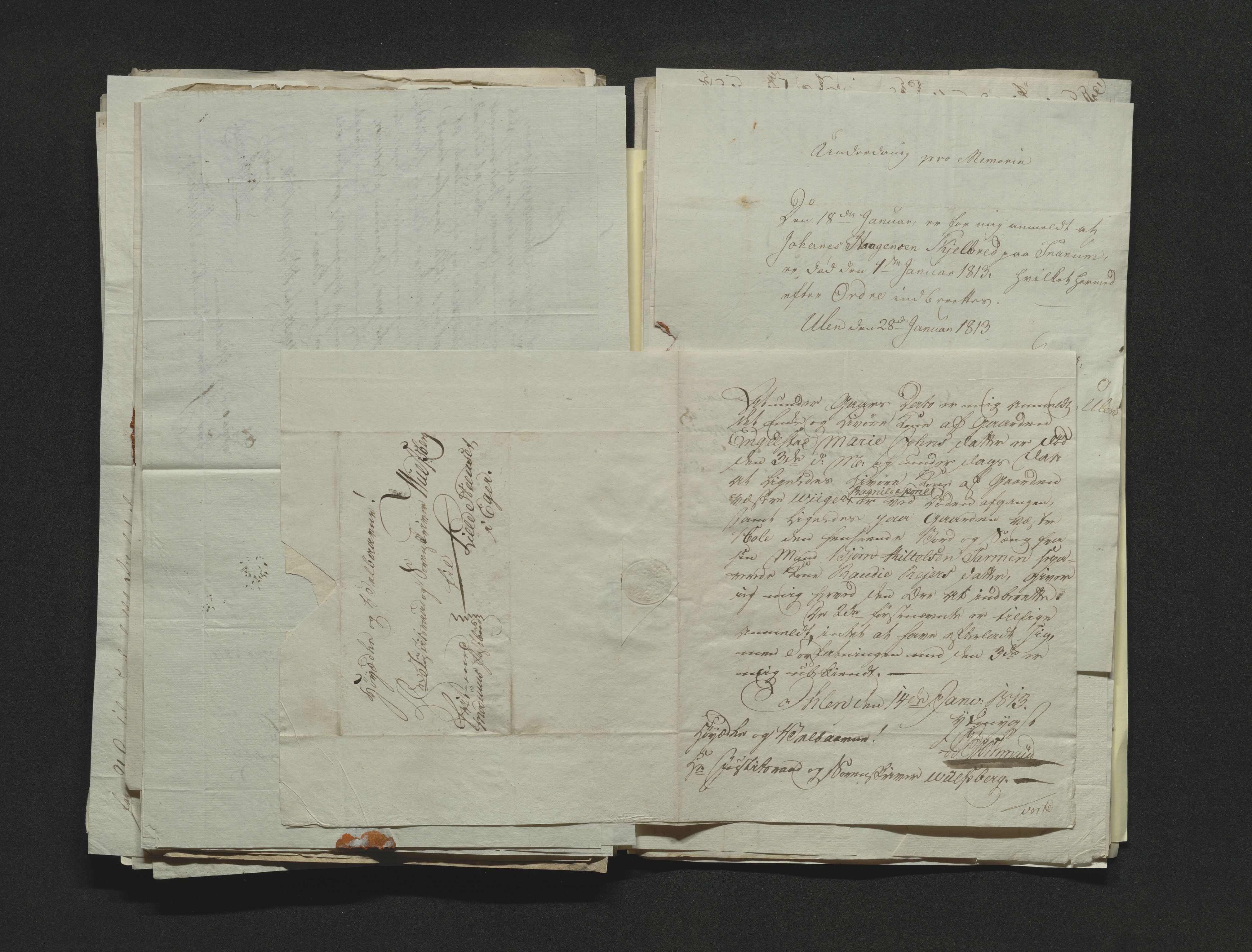 Eiker, Modum og Sigdal sorenskriveri, AV/SAKO-A-123/H/Ha/Hab/L0001: Dødsfallsmeldinger, 1812-1822, p. 100